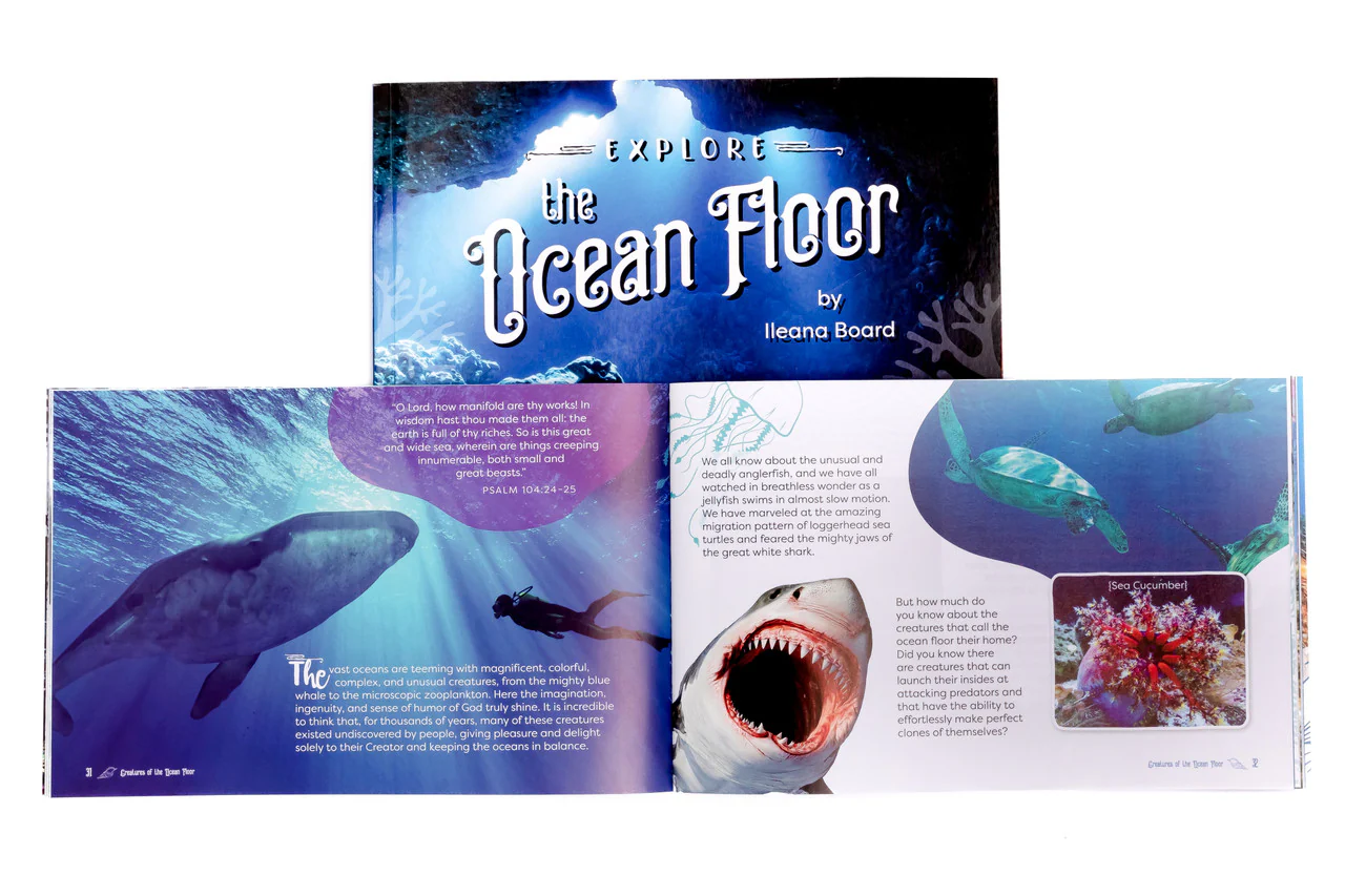 Explore the Ocean Floor: Marine Biology Grades 7-8 Extension - Image 4