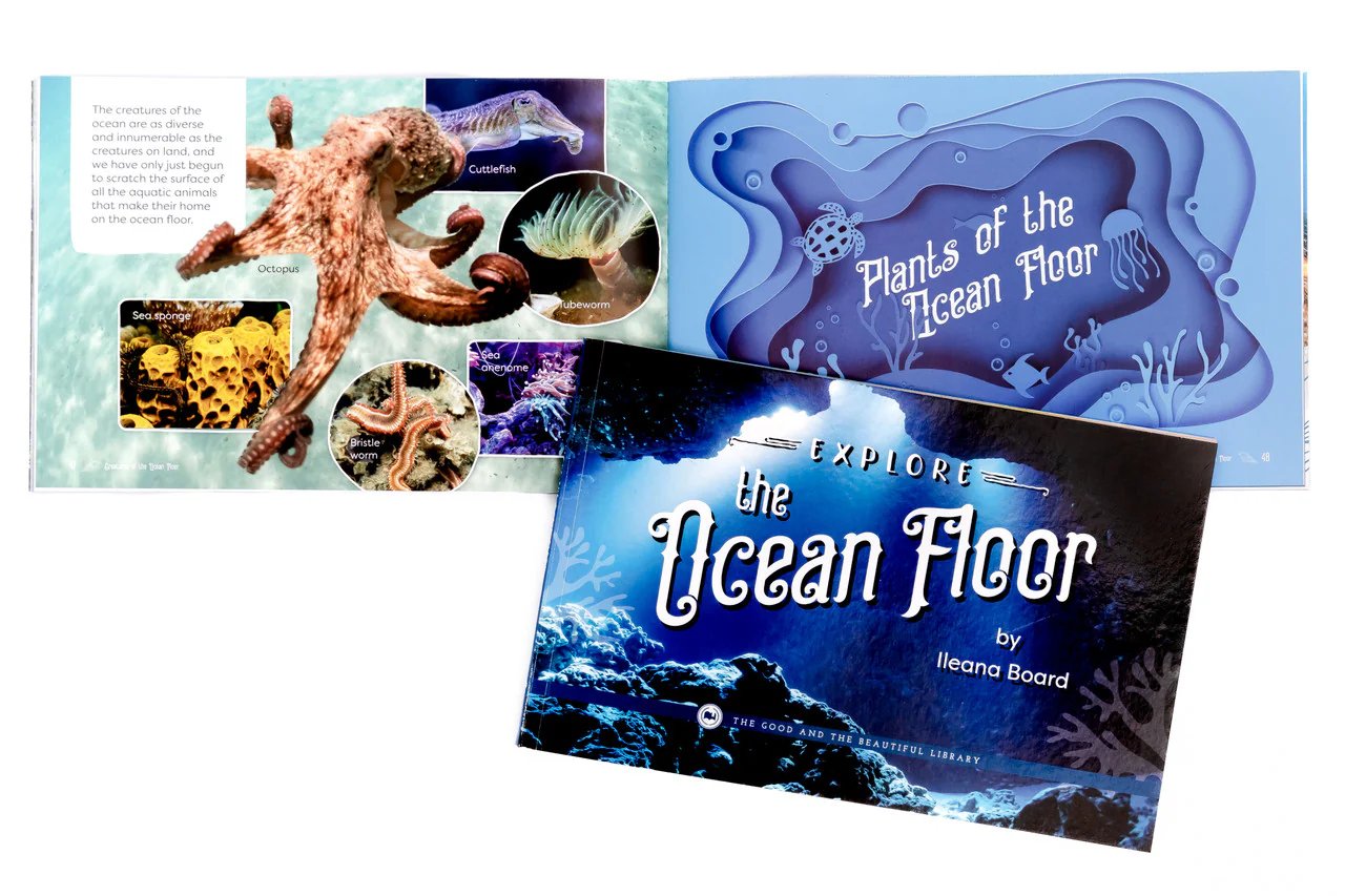 Explore the Ocean Floor: Marine Biology Grades 7-8 Extension - Image 5
