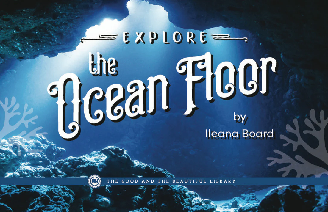 Explore the Ocean Floor: Marine Biology Grades 7-8 Extension - Image 6