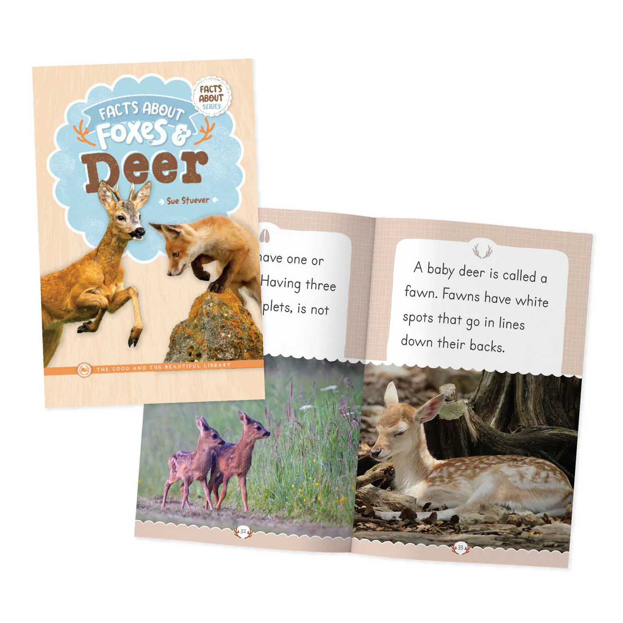 Facts About Foxes & Deer - Image 3