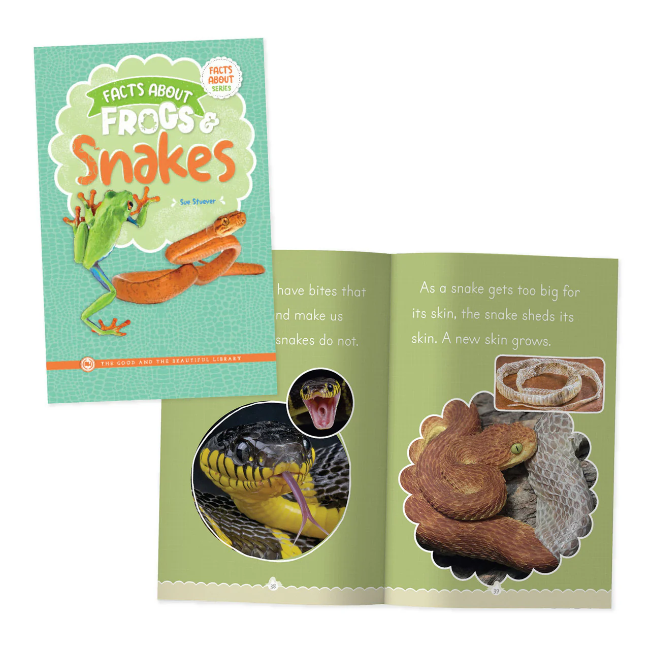 Facts About Frogs & Snakes - Image 3