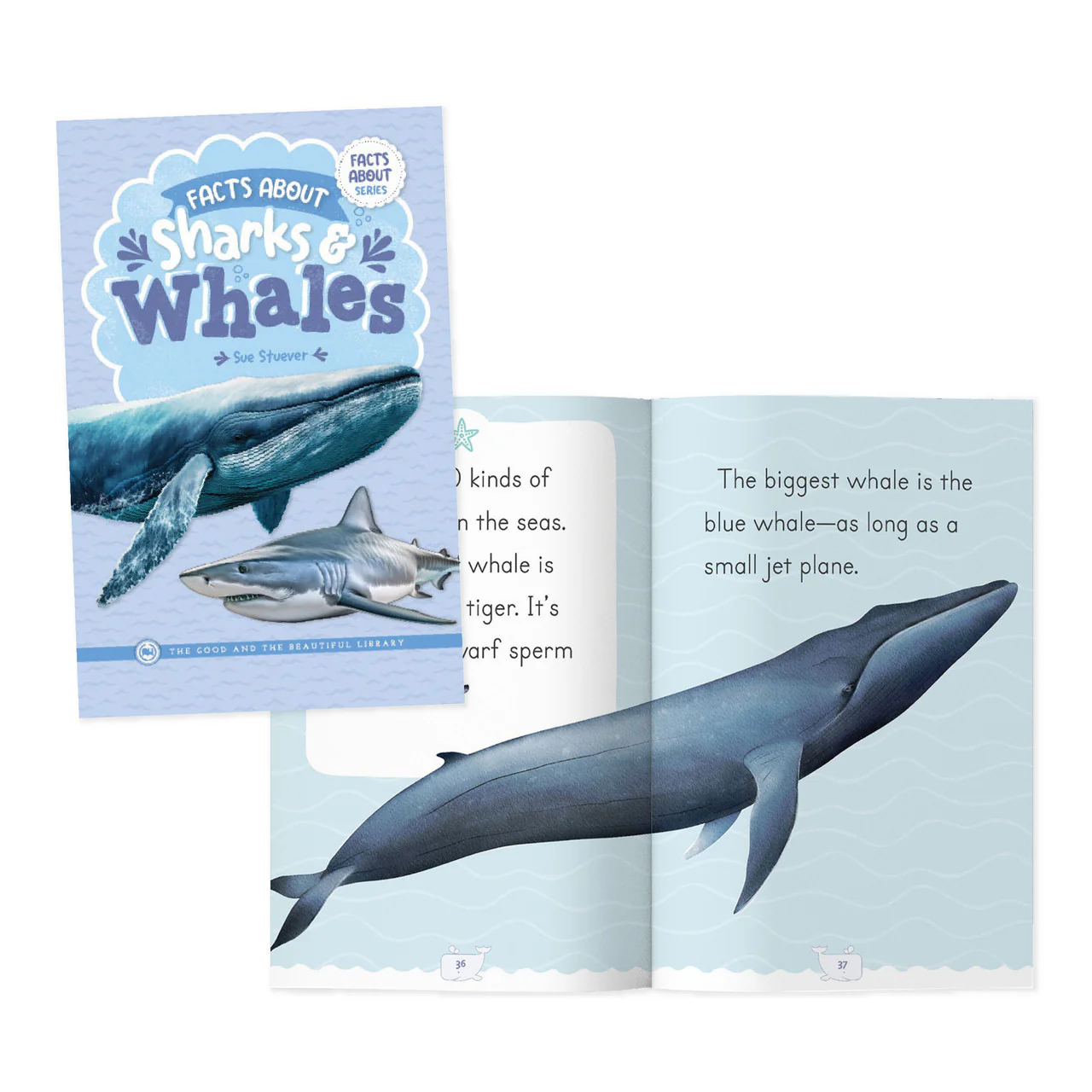 Facts About Sharks & Whales - Image 3