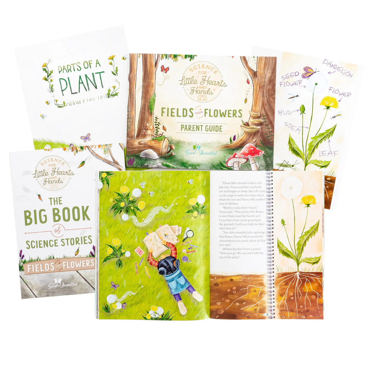 Fields and Flowers: Course Set - Image 3