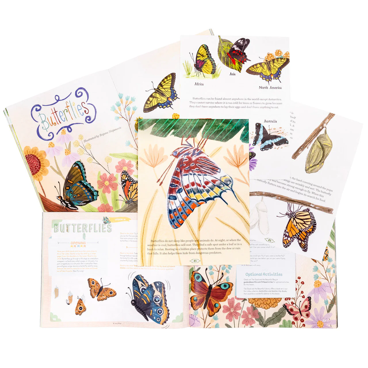 Fields and Flowers: Course Set - Image 6