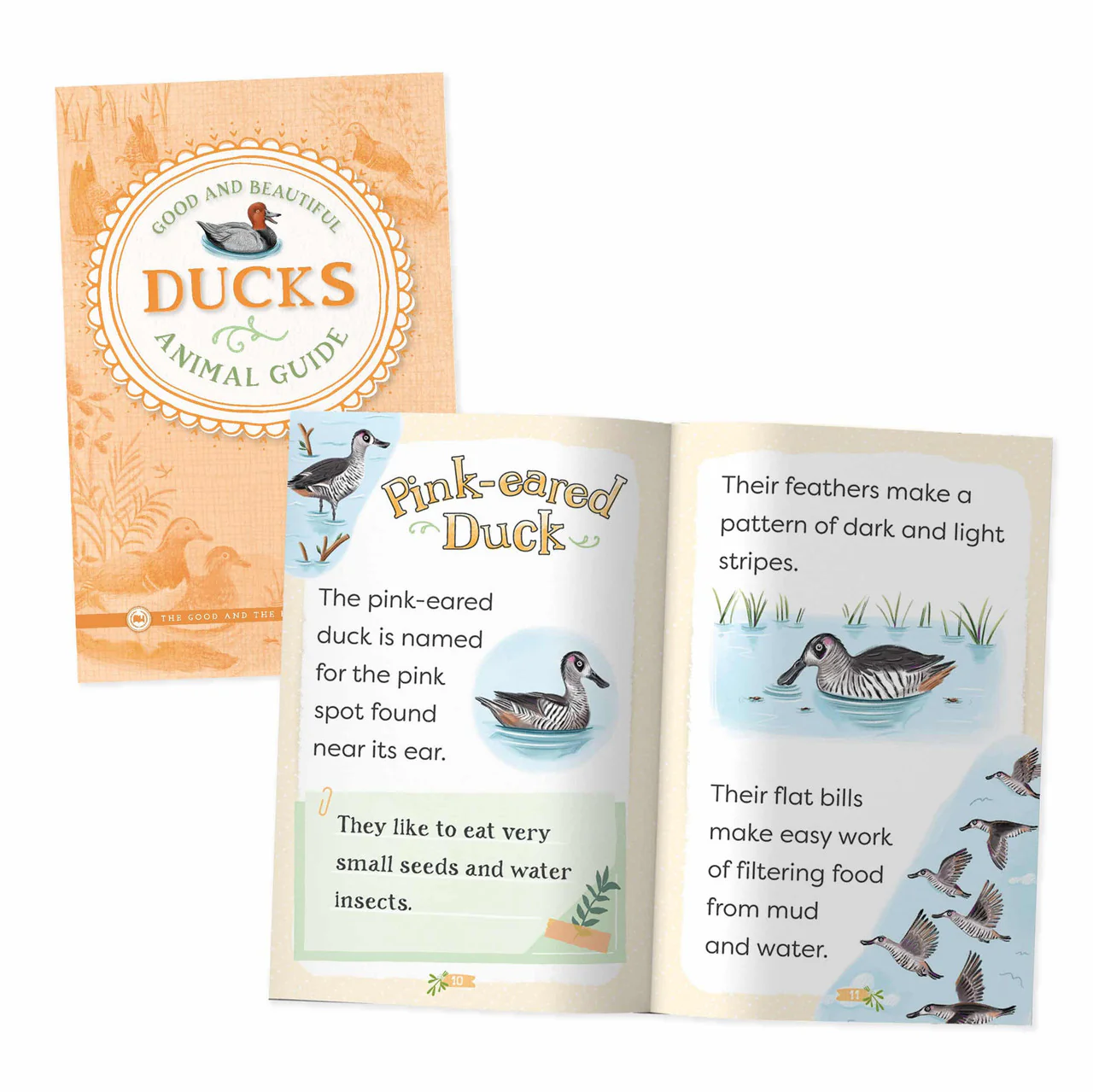 Good and Beautiful Animal Guide: Ducks - Image 2