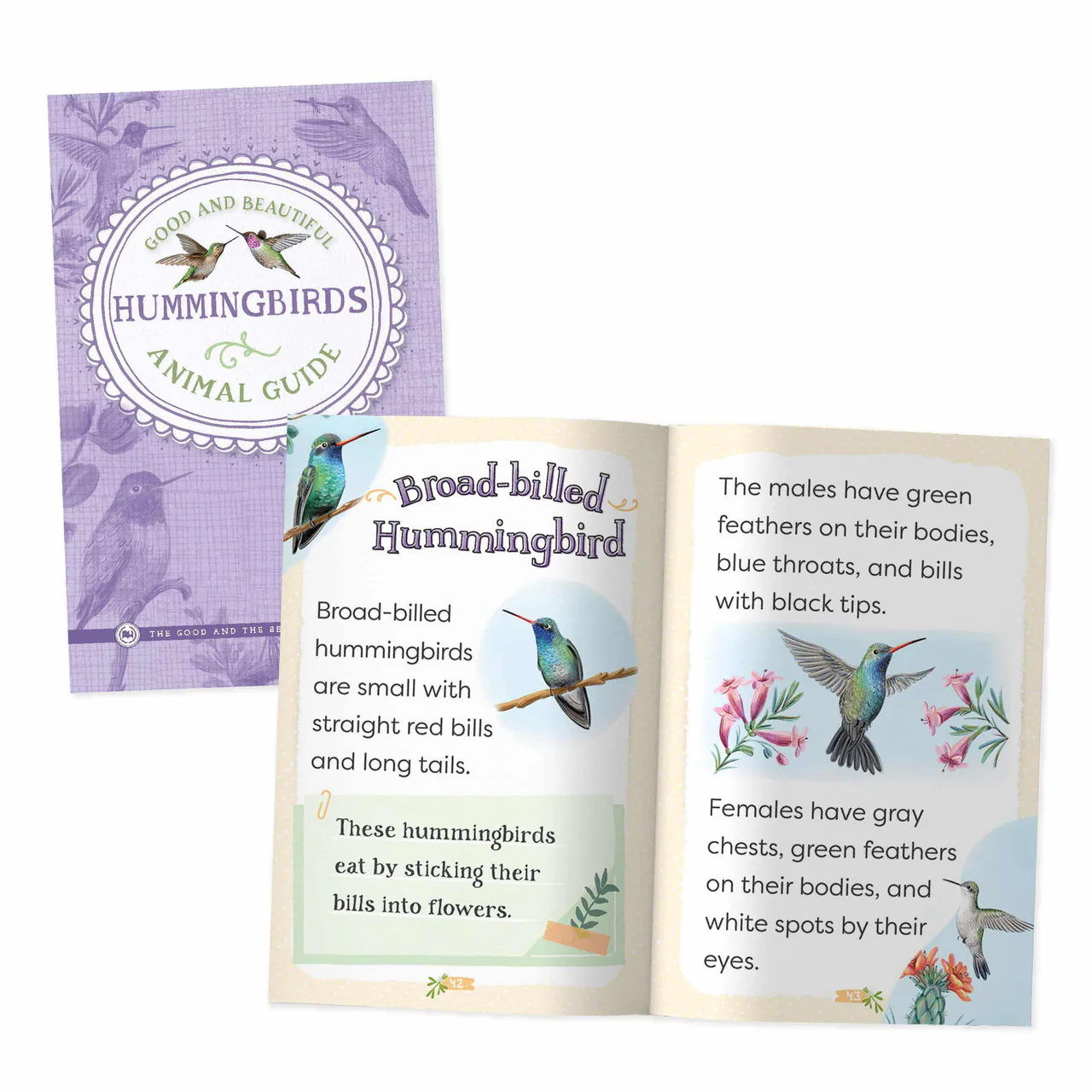 Good and Beautiful Animal Guide: Hummingbirds - Image 2