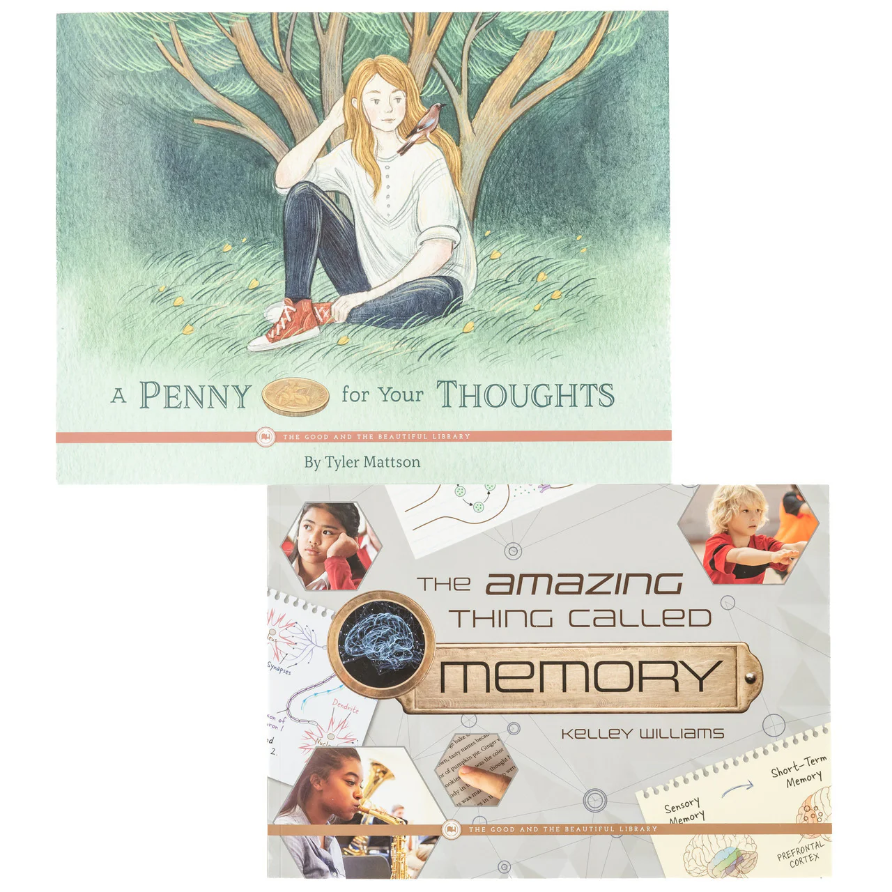 Health and the Human Mind: Course Book: One Per Family - Image 10