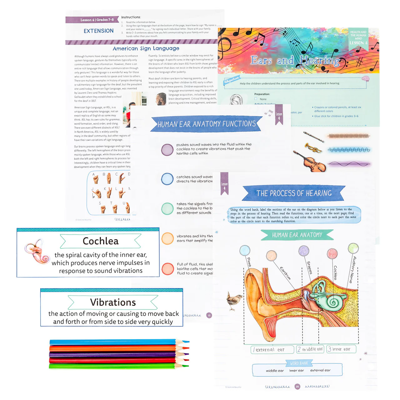 Health and the Human Mind: Course Book: One Per Family - Image 5