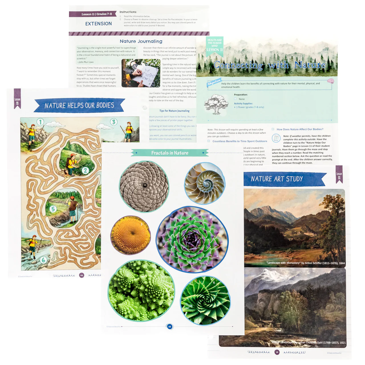 Health and the Human Mind: Course Book: One Per Family - Image 6