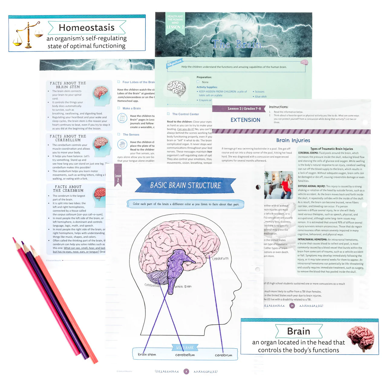 Health and the Human Mind: Course Book: One Per Family - Image 8