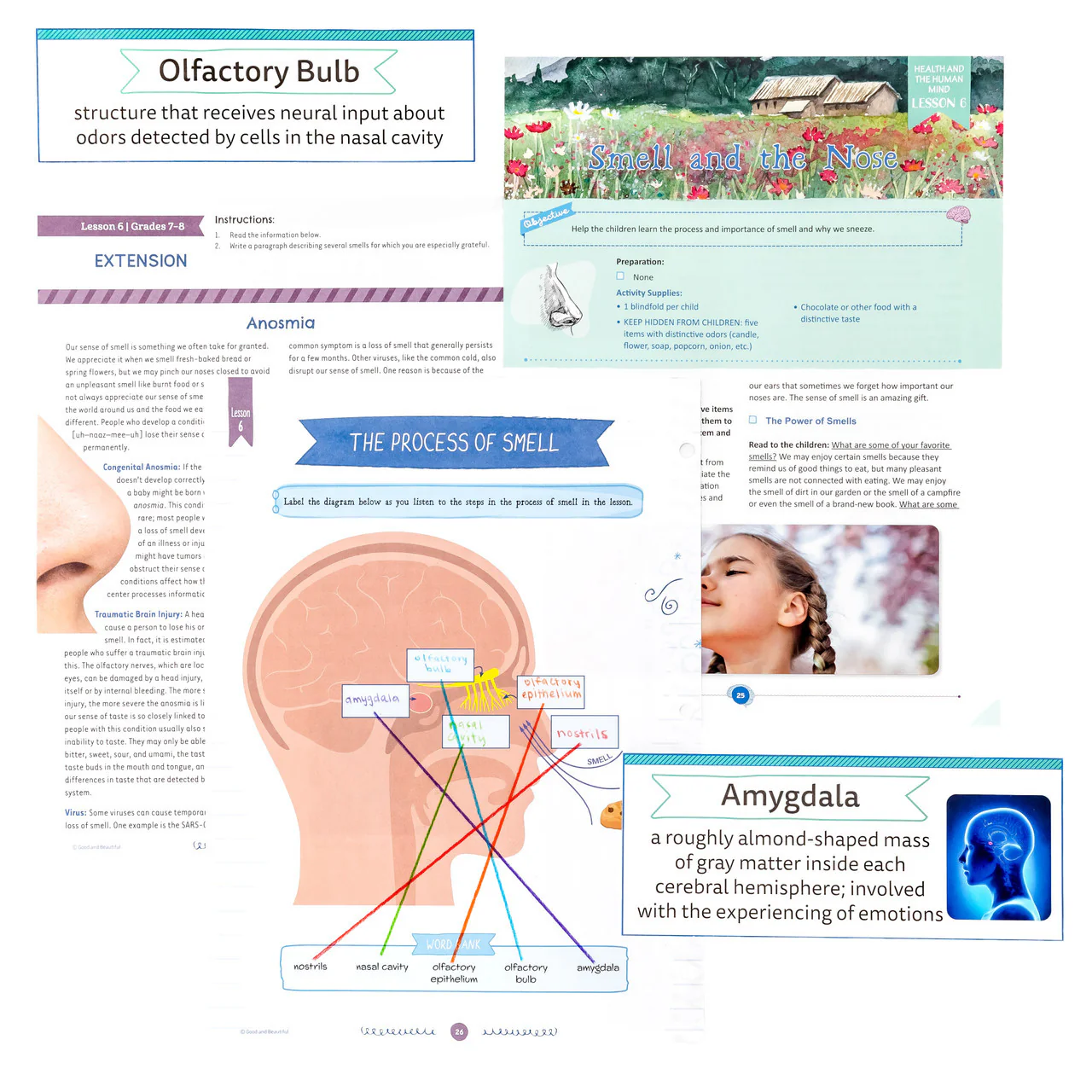 Health and the Human Mind: Course Book: One Per Family - Image 9