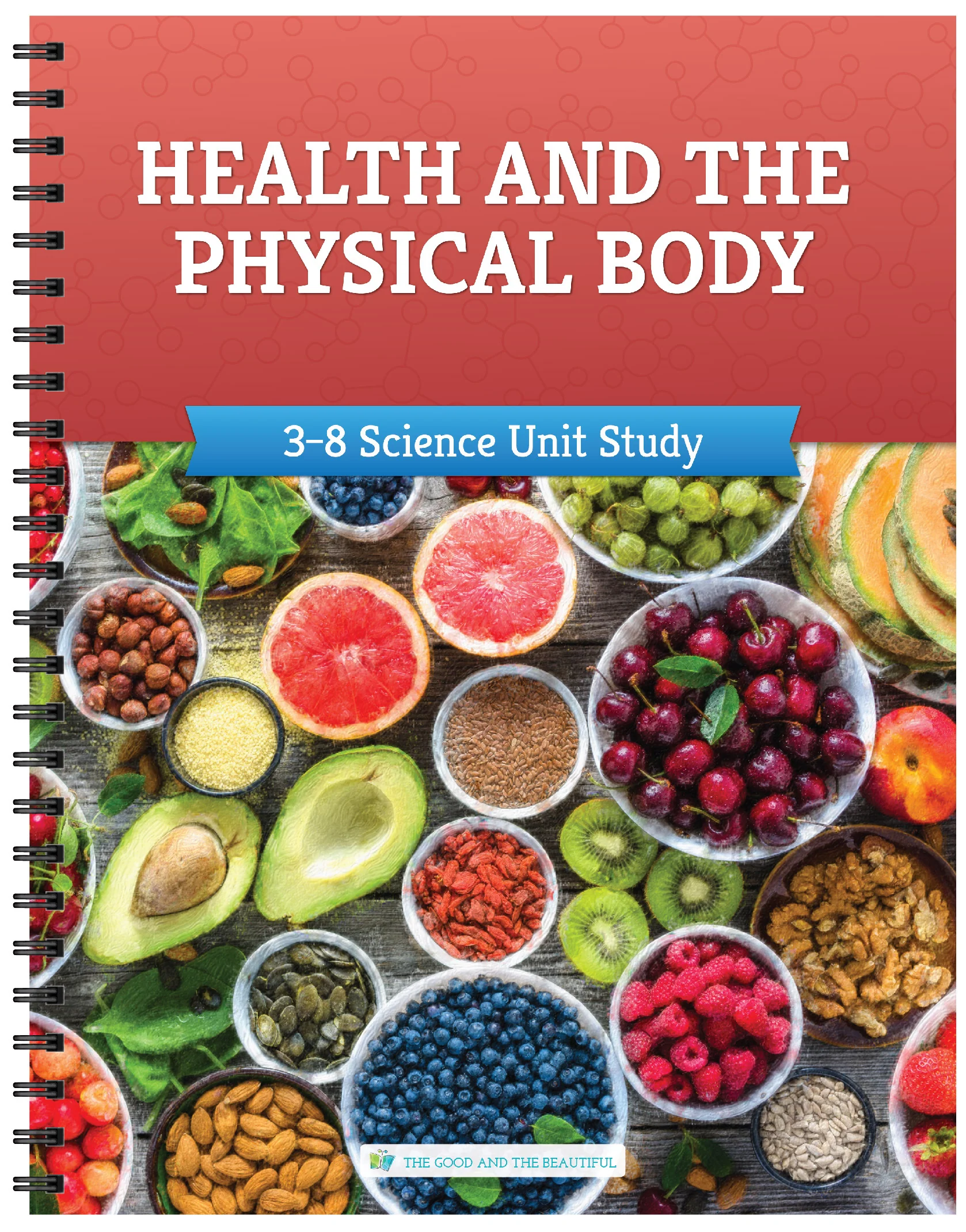 Health and the Physical Body: Course Book: One Per Family - Image 11