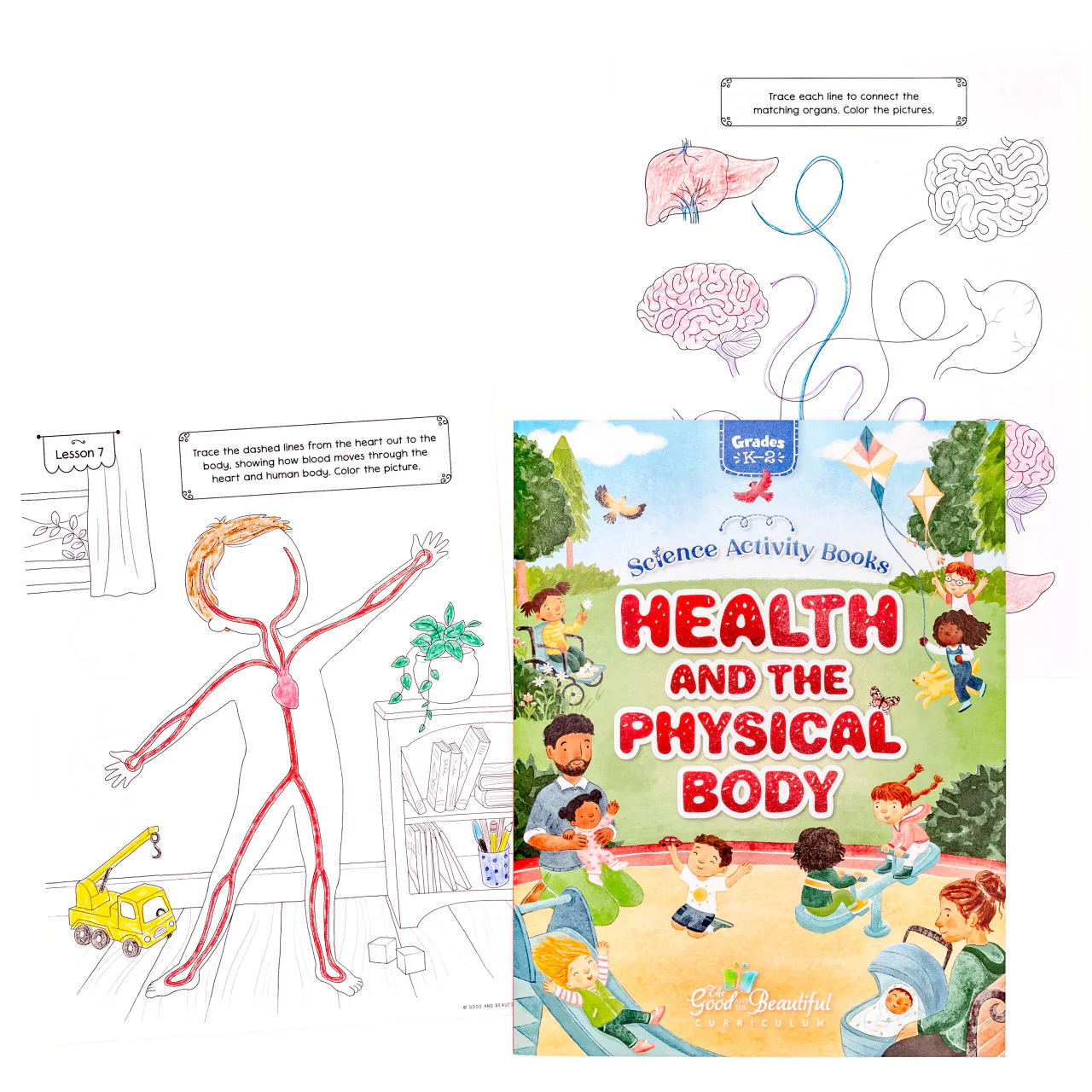 Health and the Physical Body: Science Activity Book - Image 3