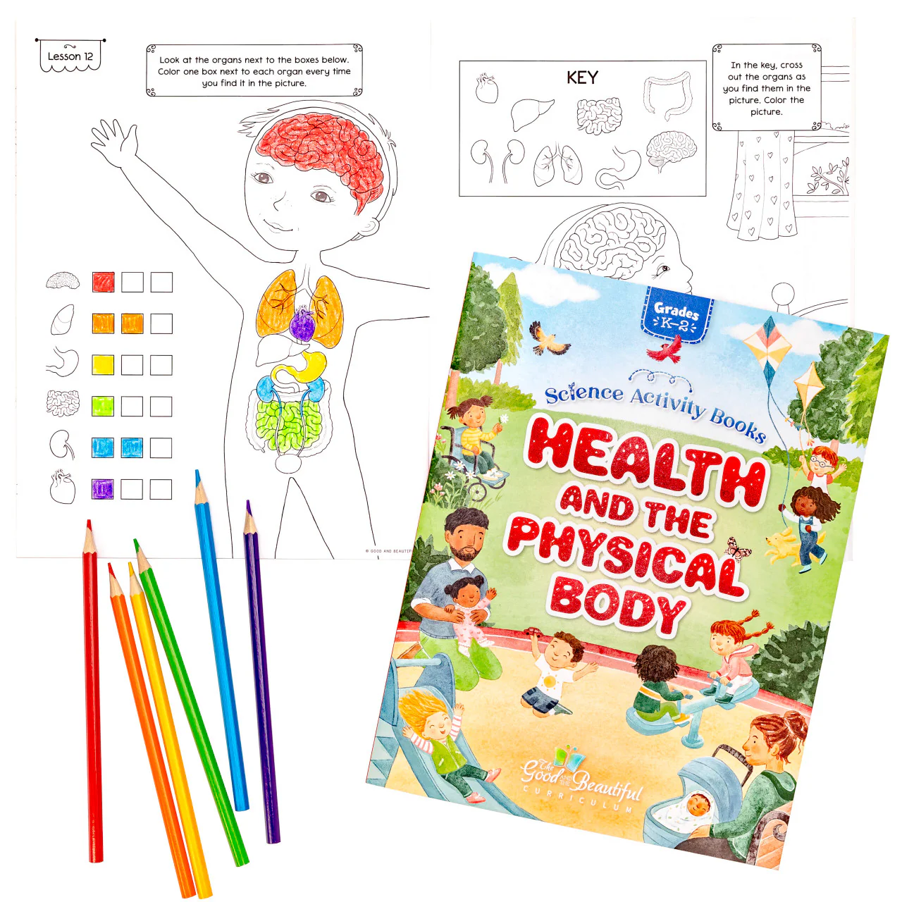 Health and the Physical Body: Science Activity Book - Image 4