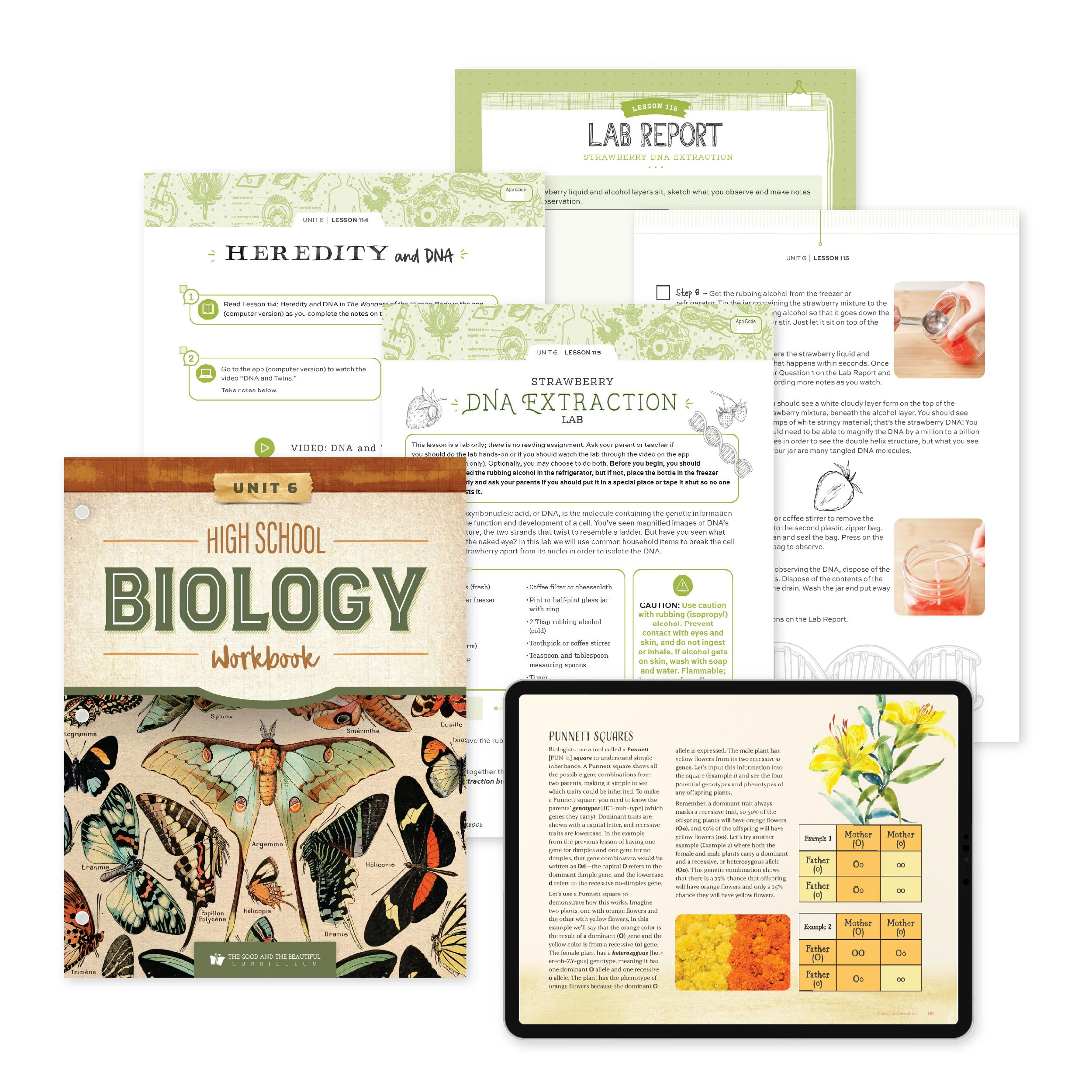 High School Biology Course Set - Image 10