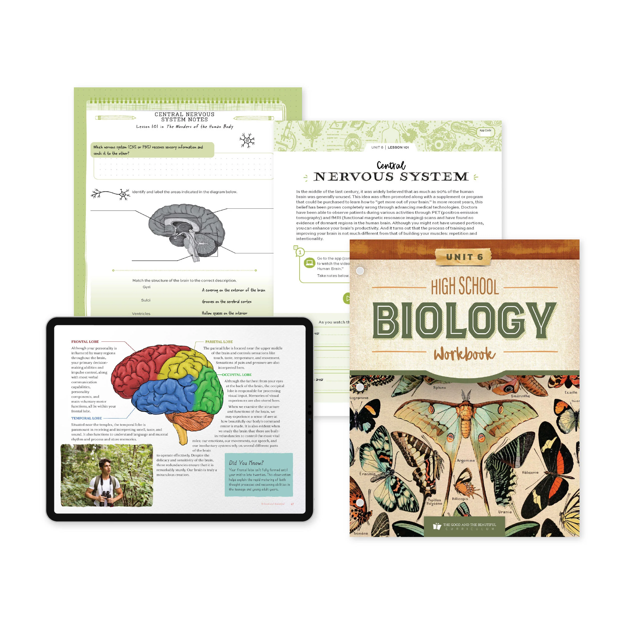 High School Biology Course Set - Image 11