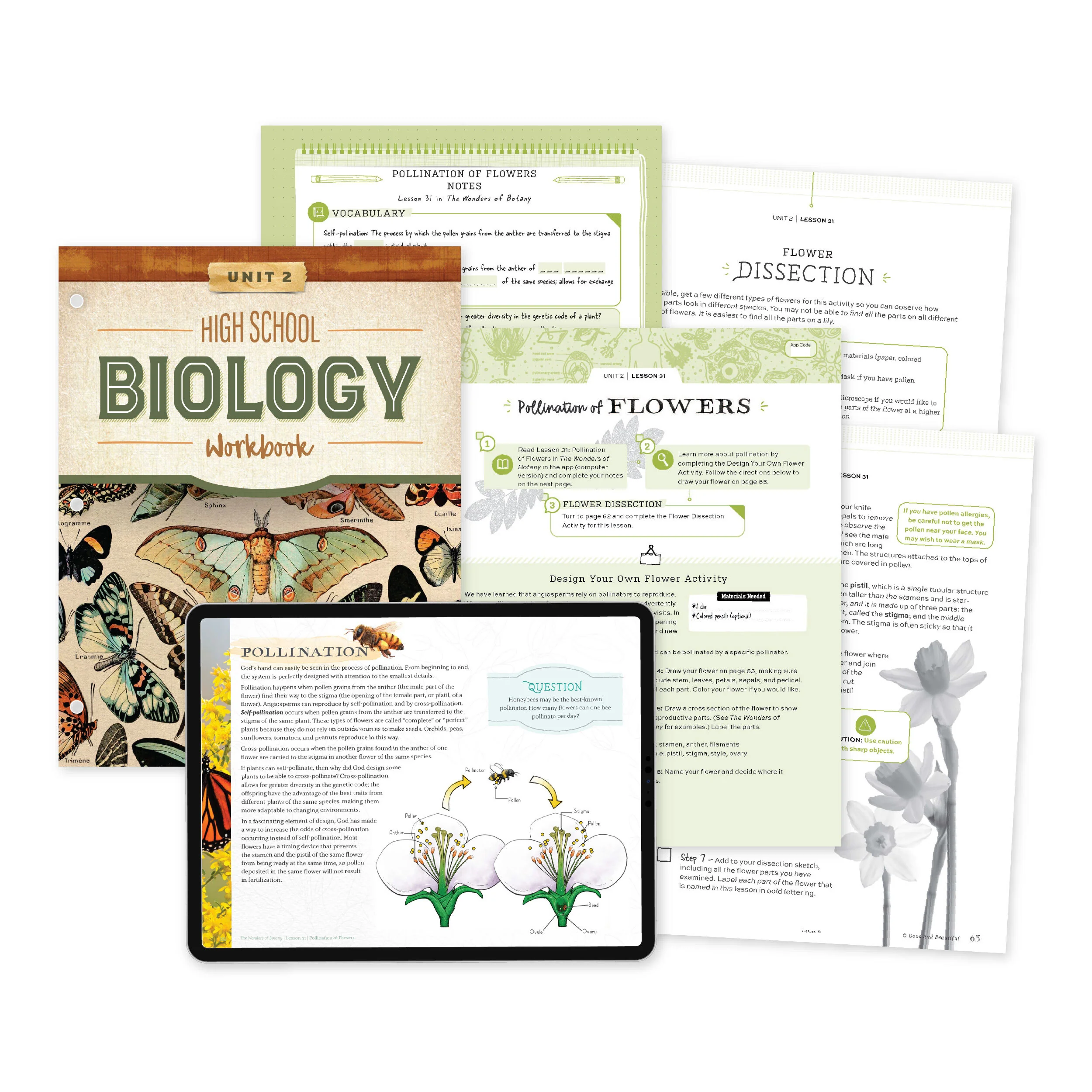 High School Biology Course Set - Image 3