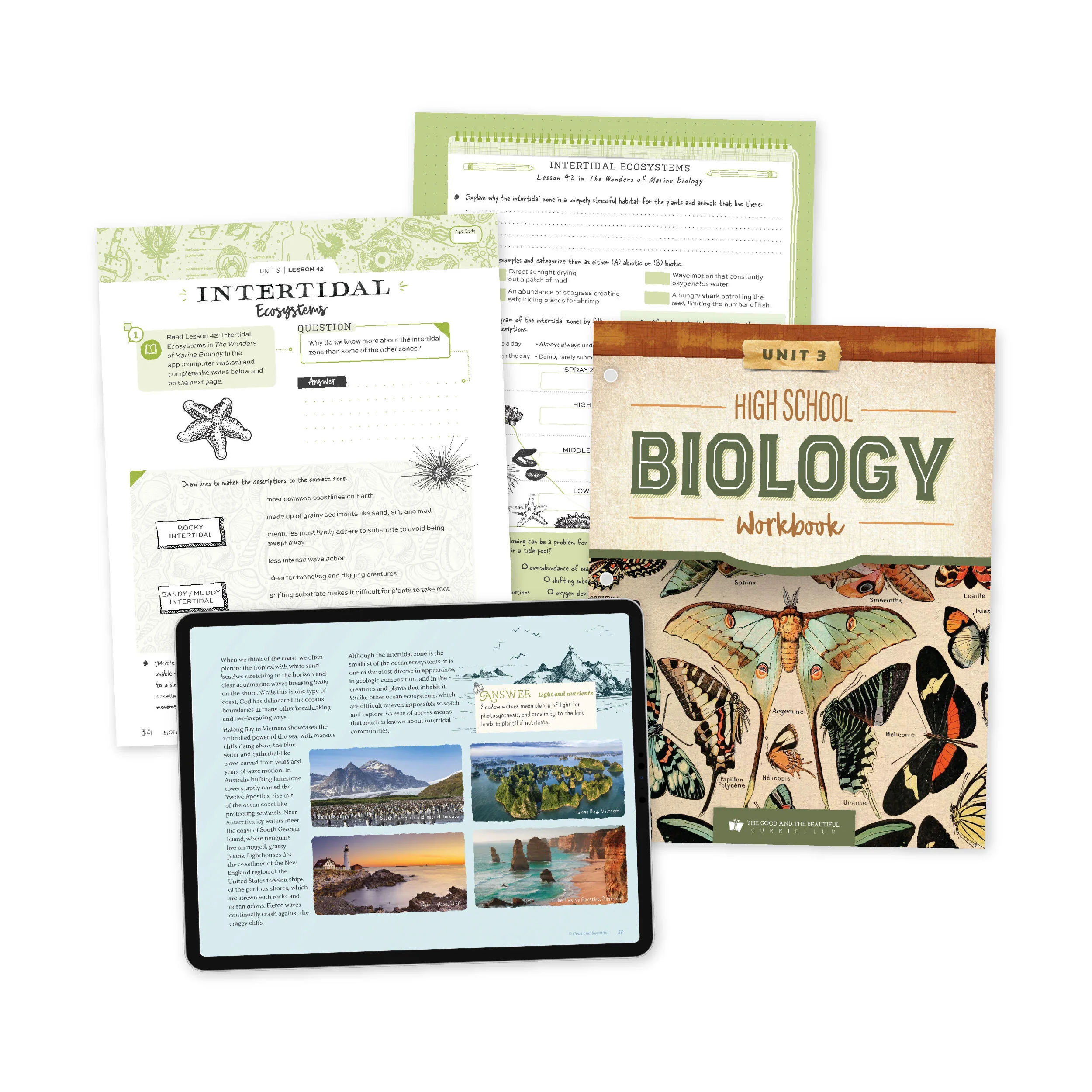 High School Biology Course Set - Image 4