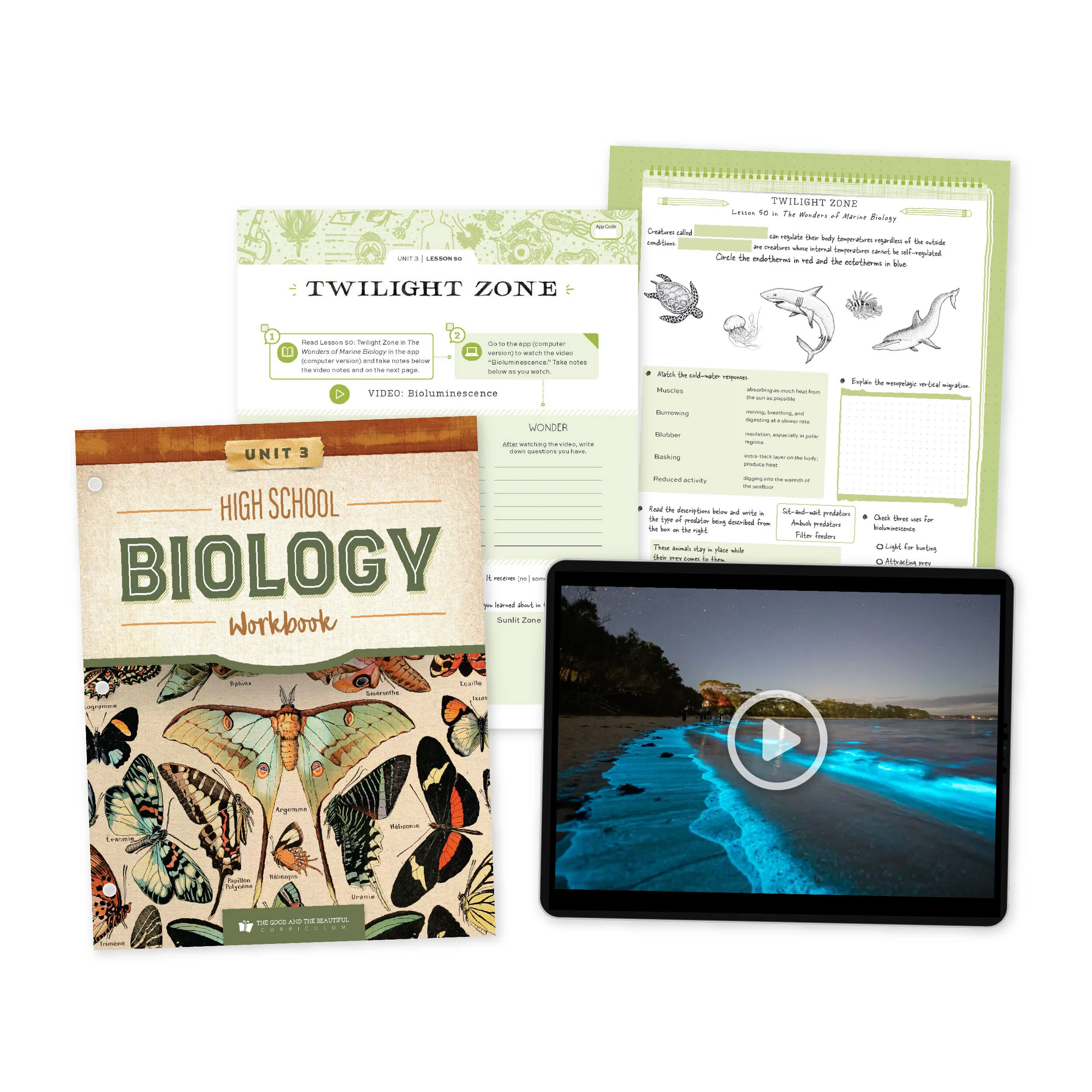High School Biology Course Set - Image 5