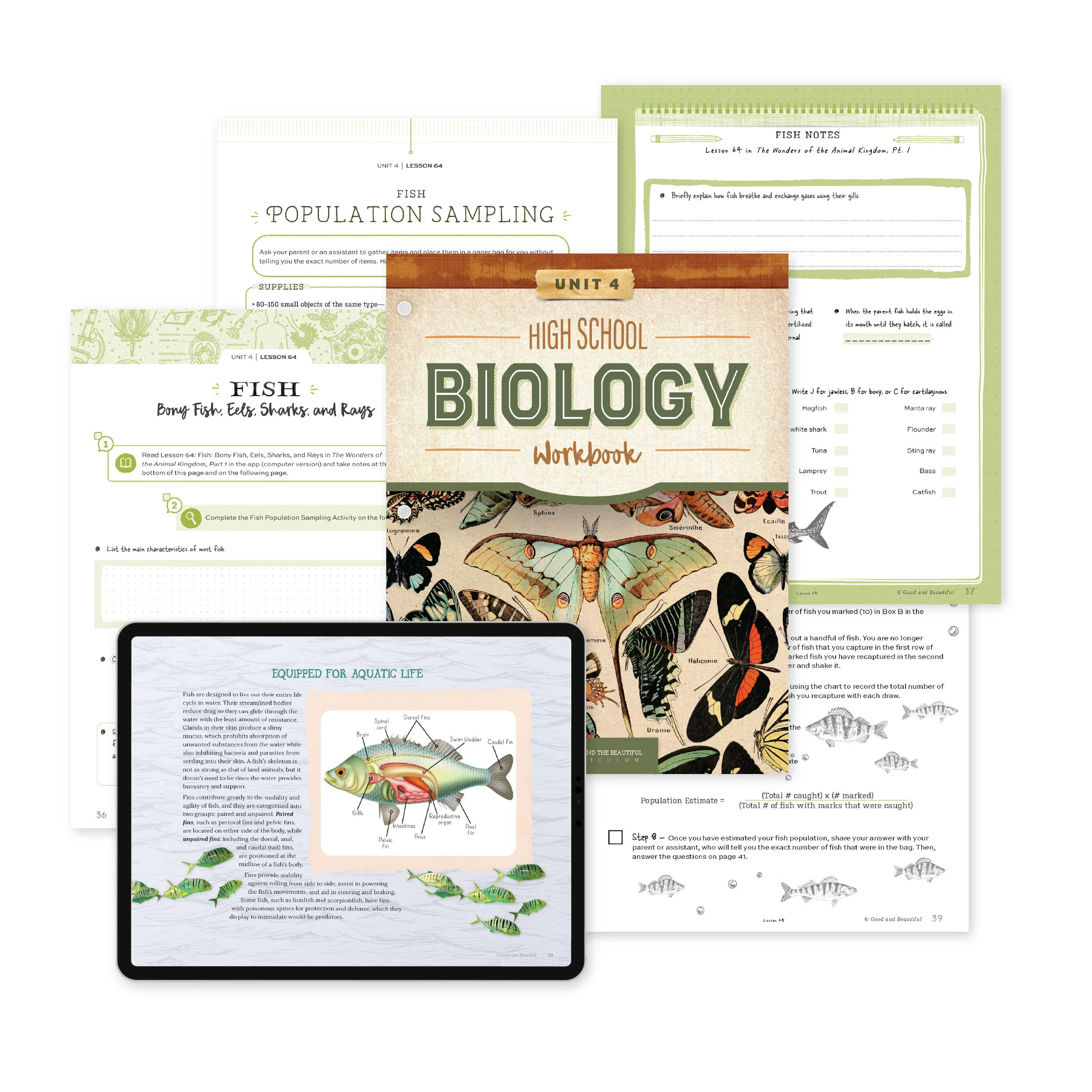 High School Biology Course Set - Image 6