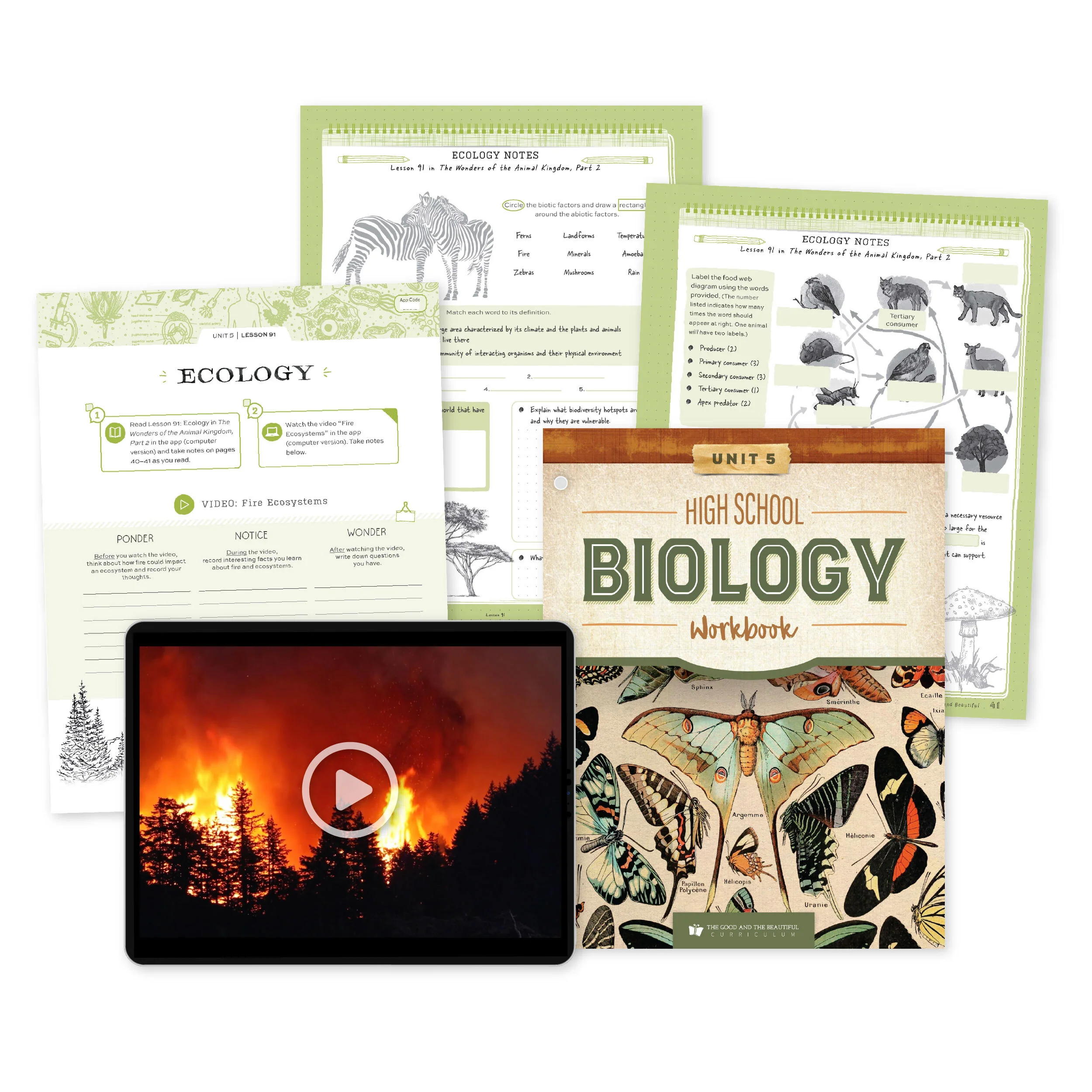 High School Biology Course Set - Image 7