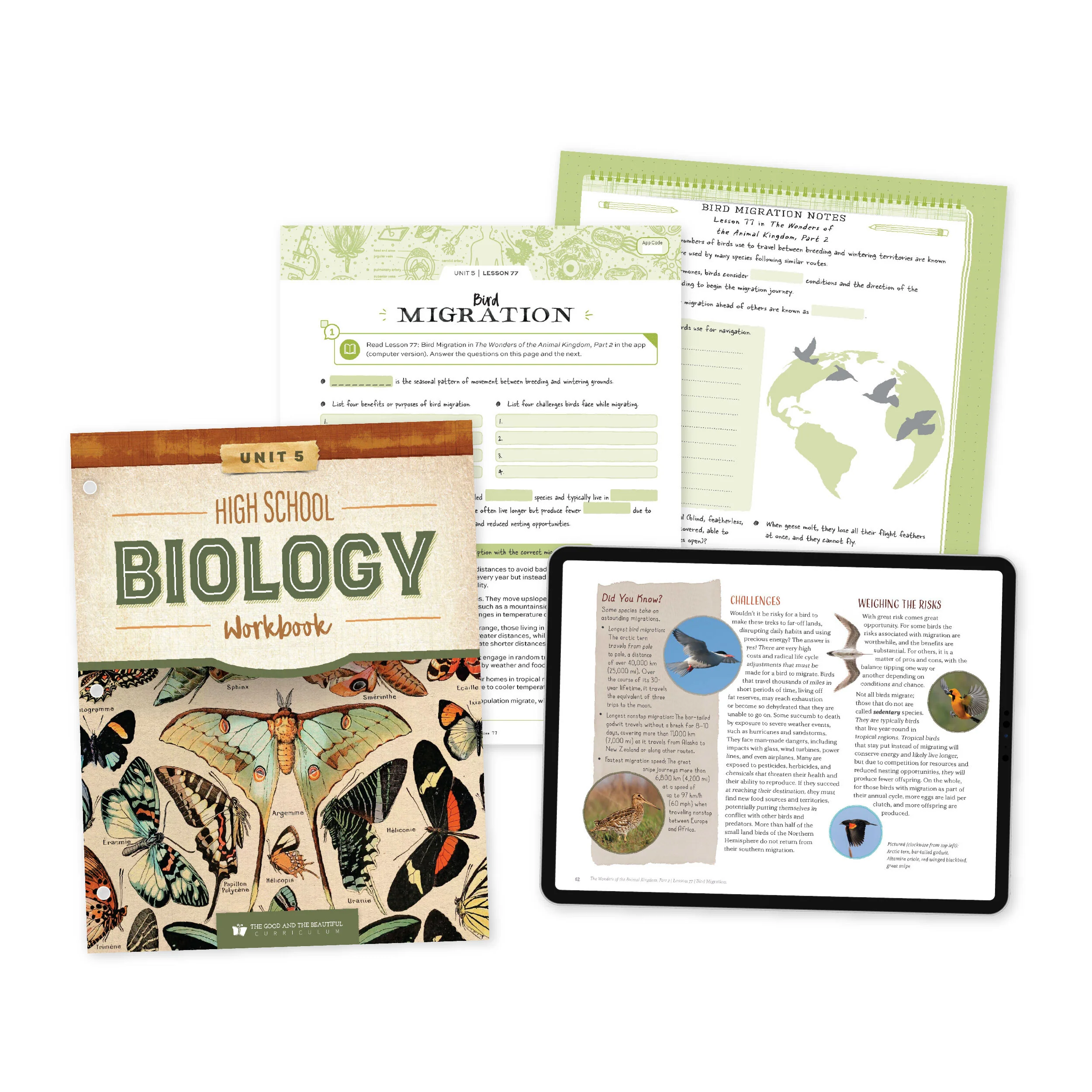 High School Biology Course Set - Image 9