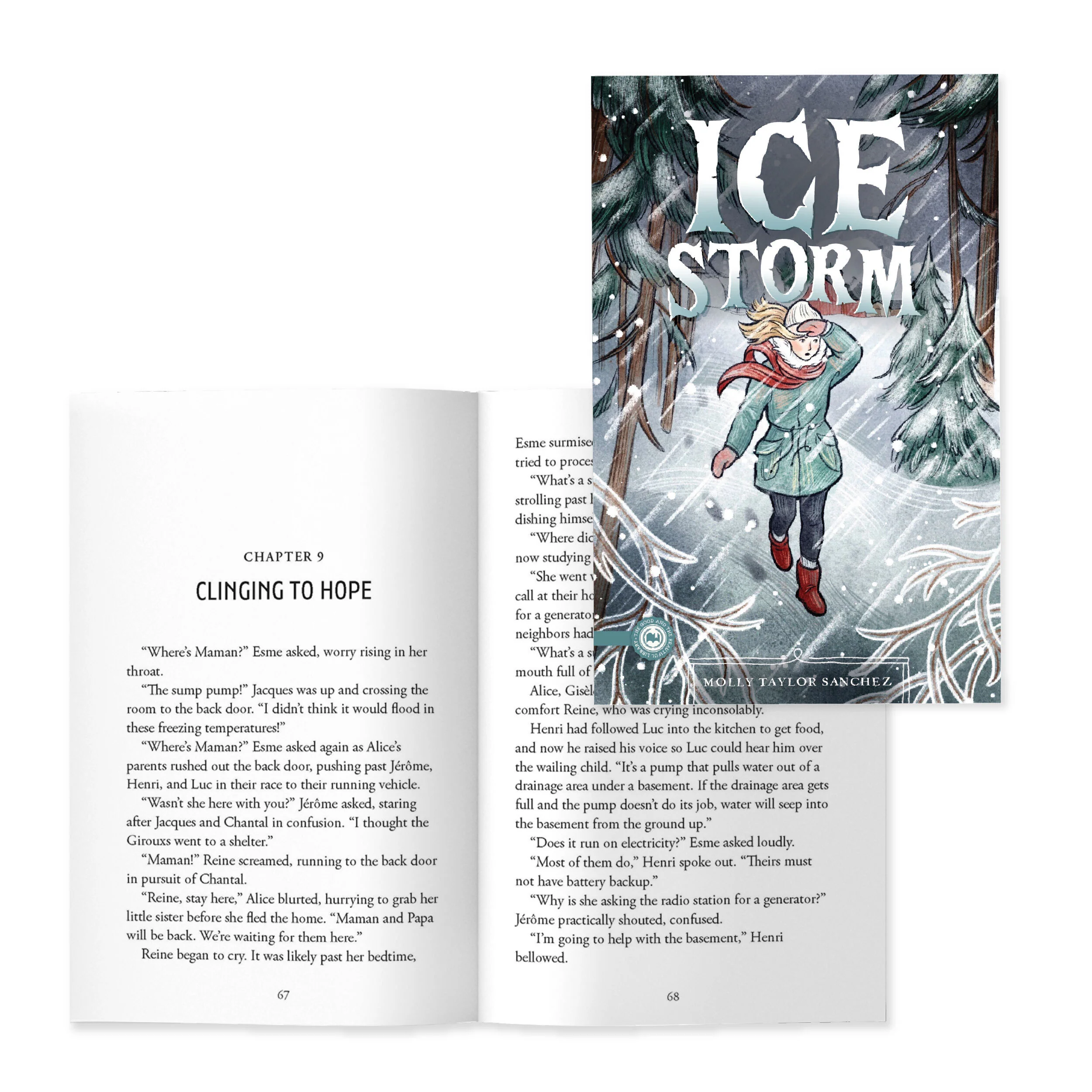 Ice Storm - Image 3