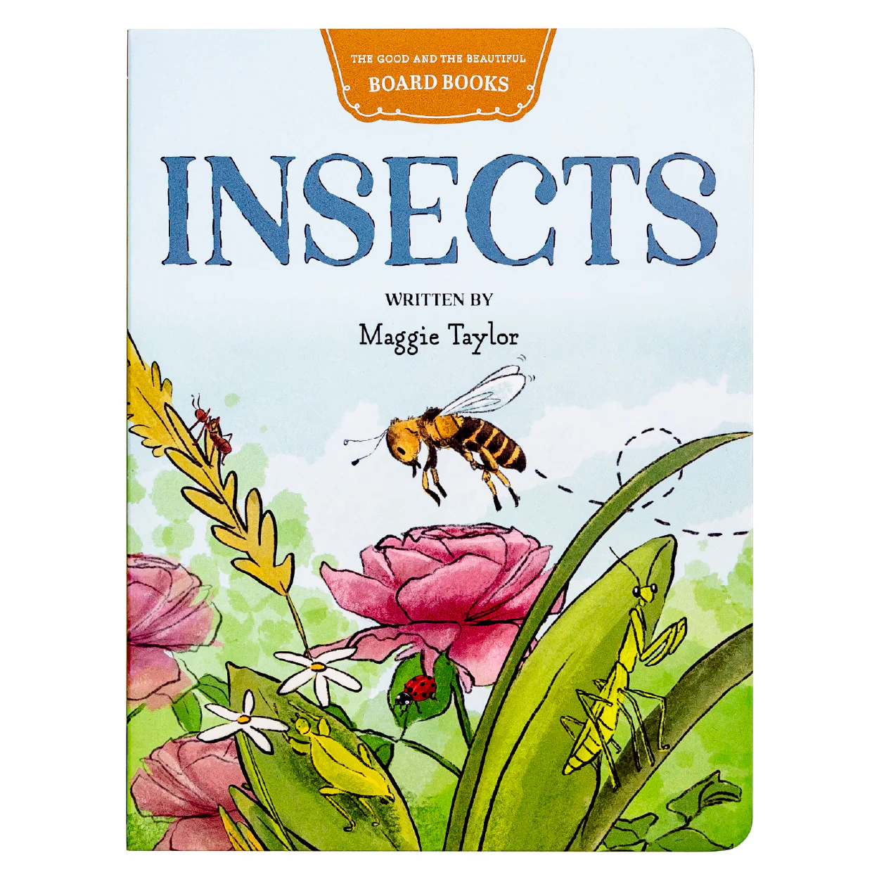 Insects Board Book: by Maggie Taylor