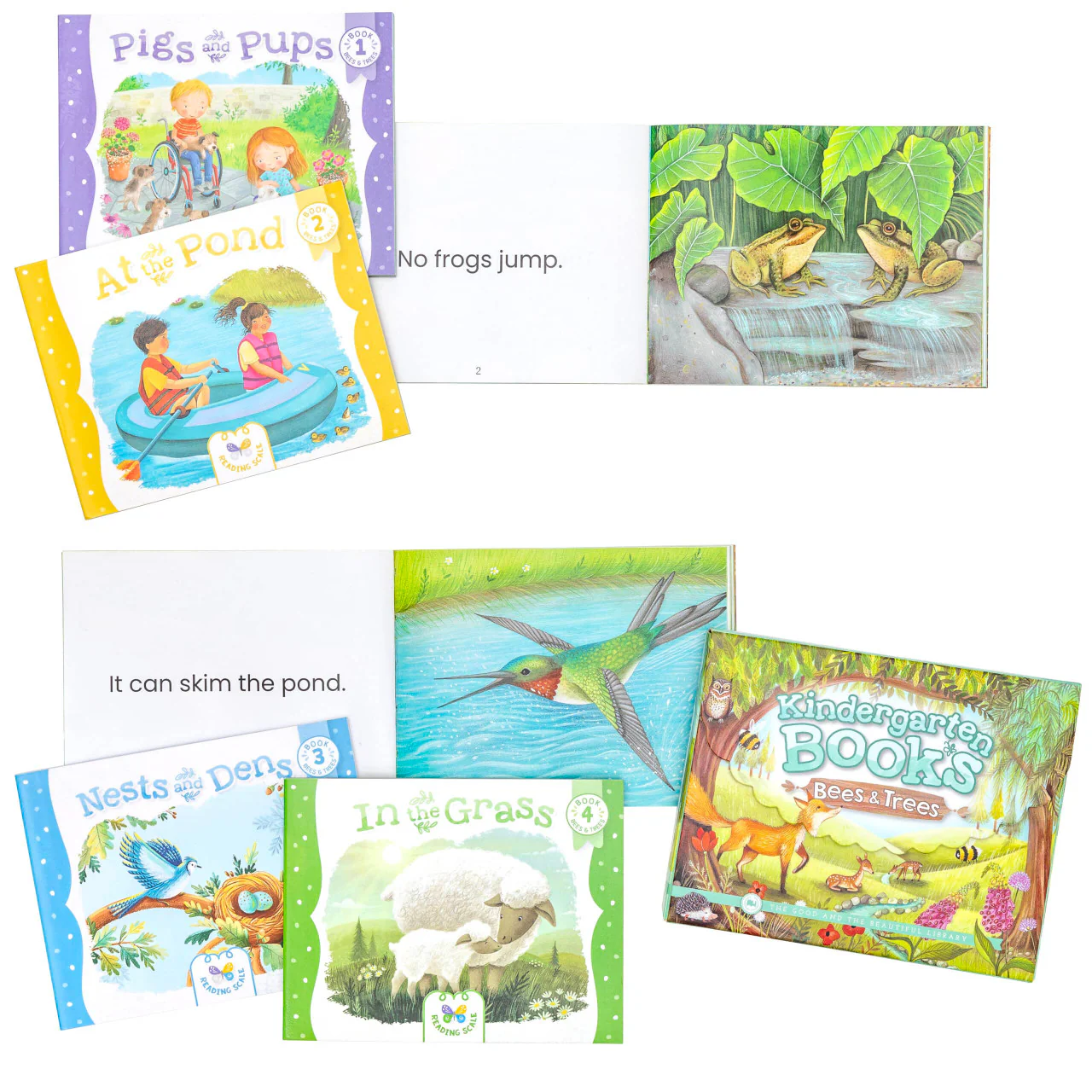 Kindergarten Books—Bees & Trees - Image 4