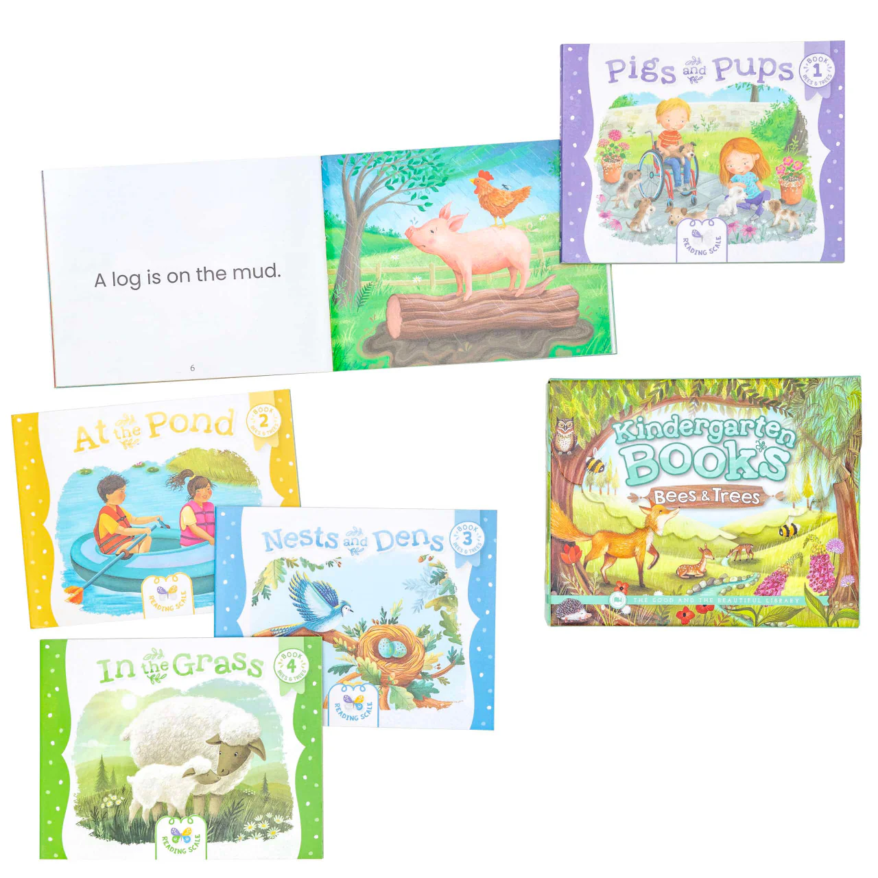 Kindergarten Books—Bees & Trees - Image 5