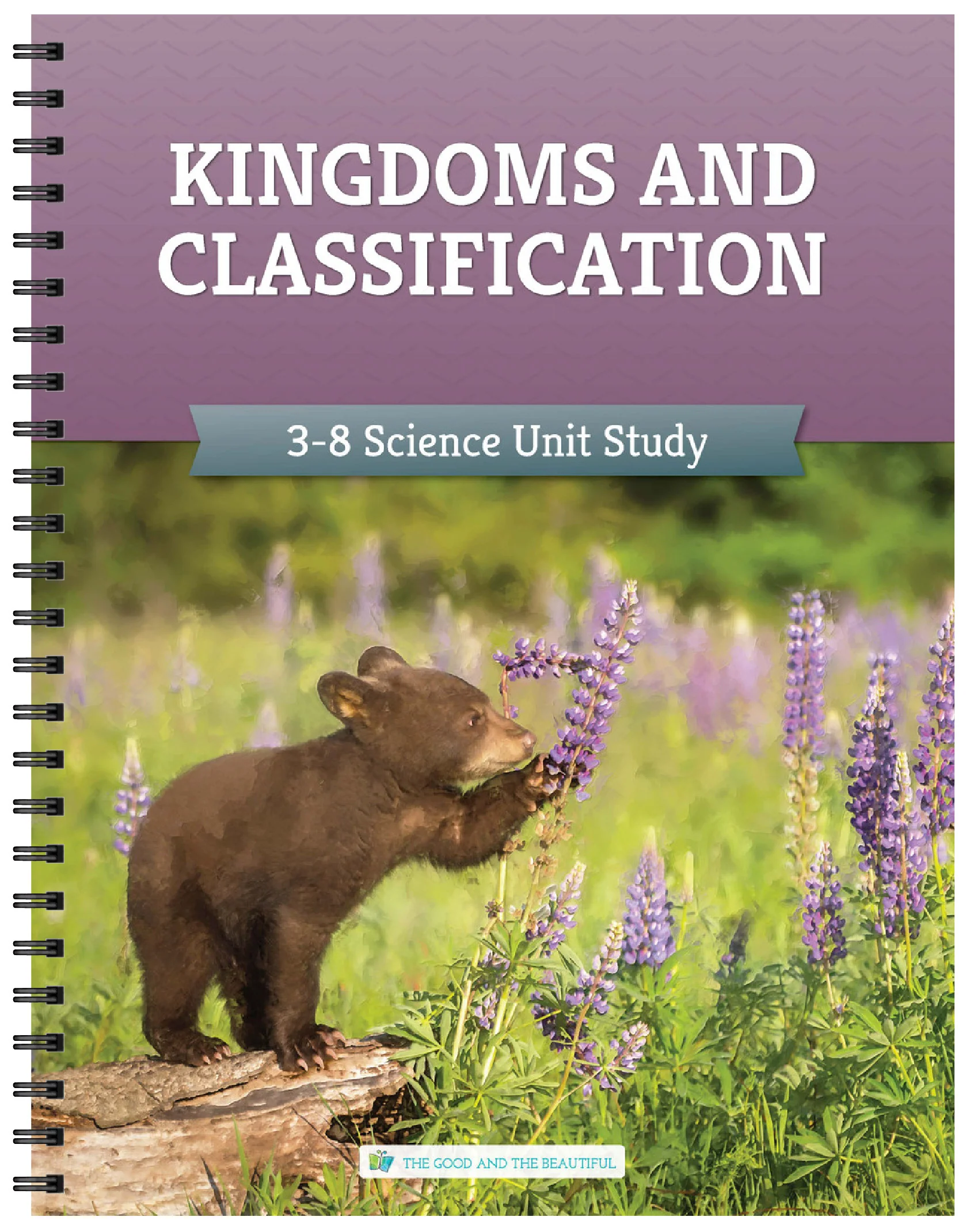Kingdoms and Classification: Course Book: One Per Family - Image 13