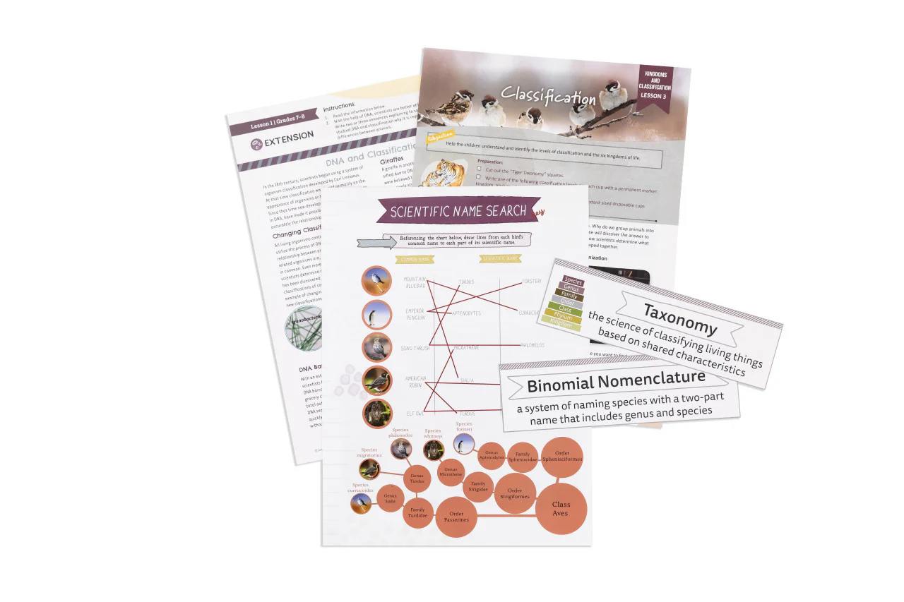 Kingdoms and Classification: Course Book: One Per Family - Image 6