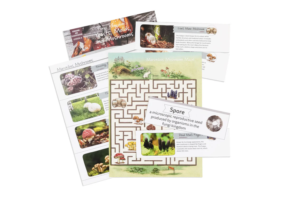 Kingdoms and Classification: Course Book: One Per Family - Image 7