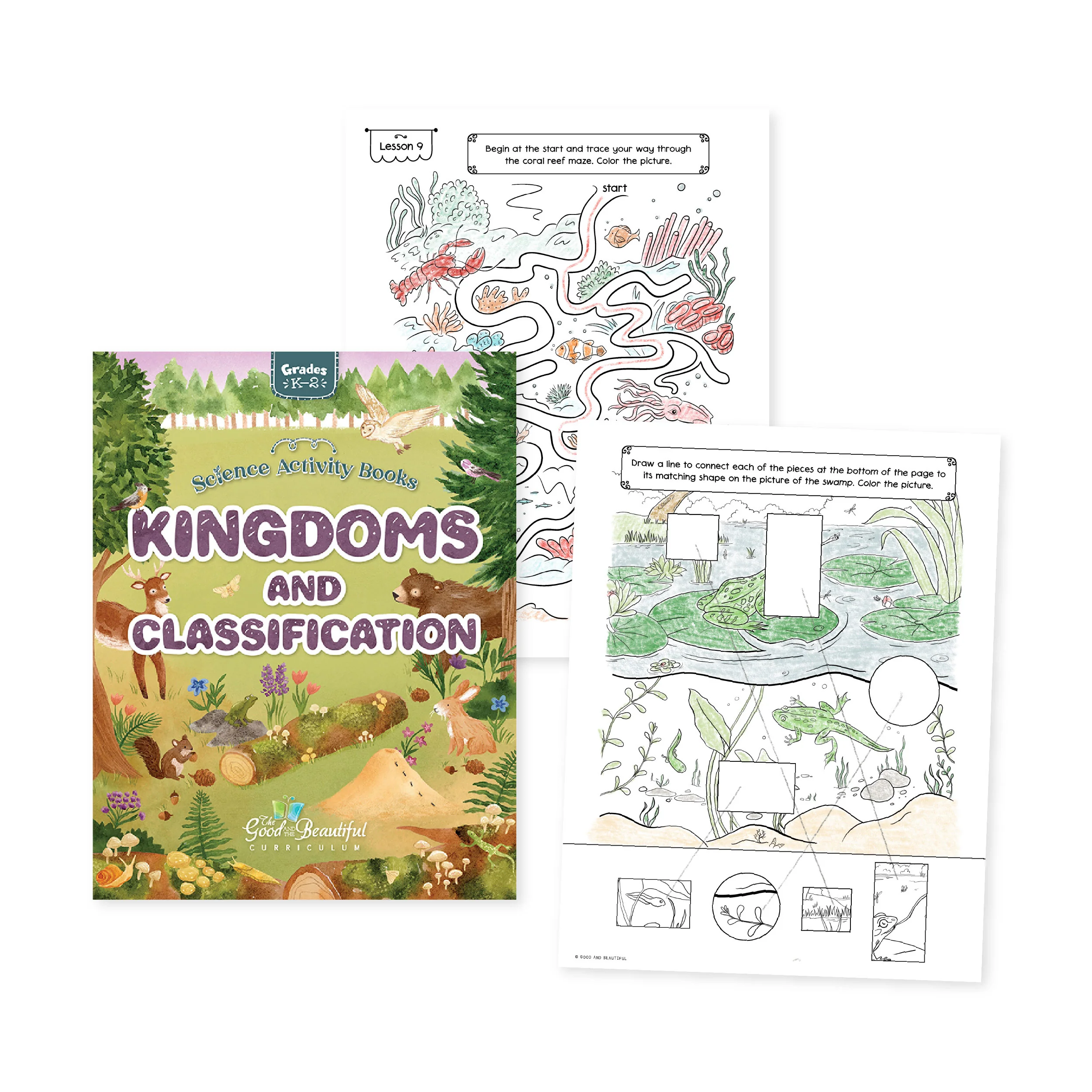 Kingdoms and Classification: Science Activity Book - Image 2