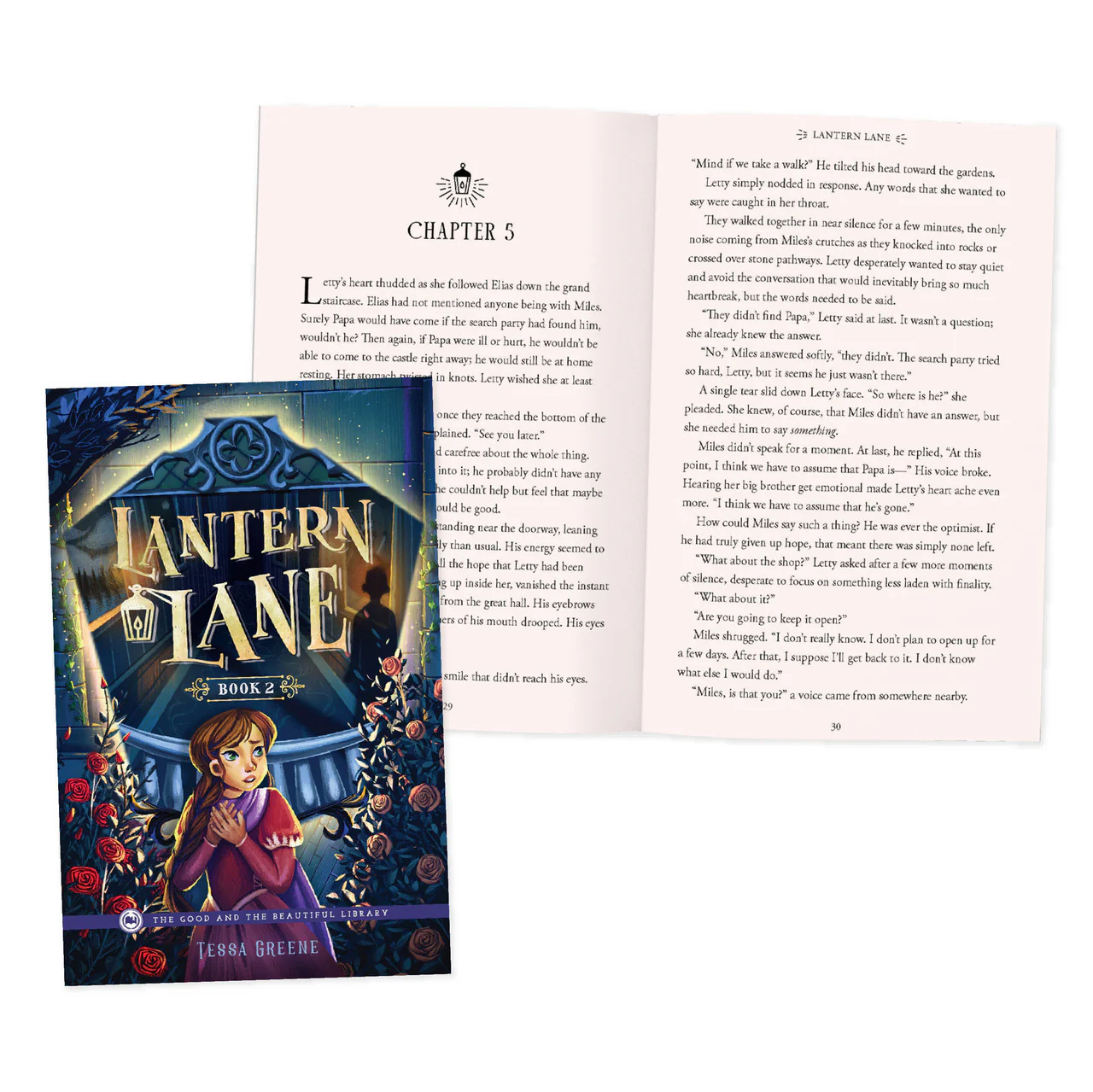 Lantern Lane Series - Image 4