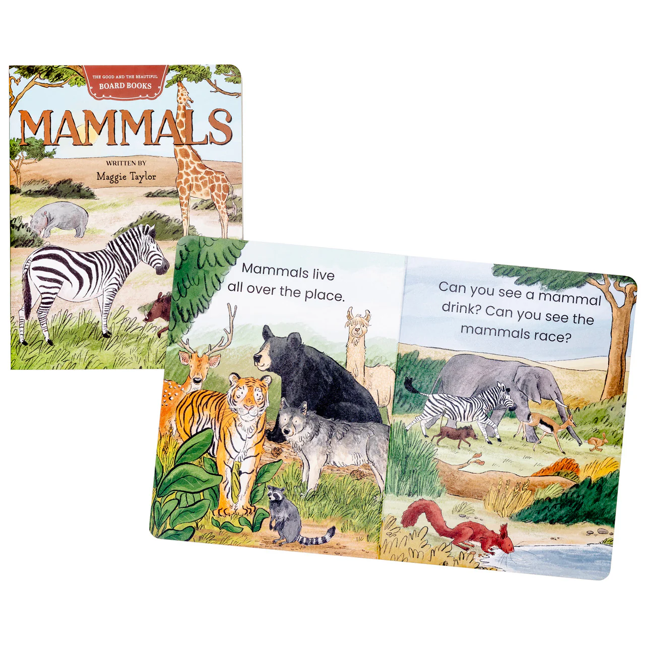 Mammals Board Book: by Maggie Taylor - Image 2