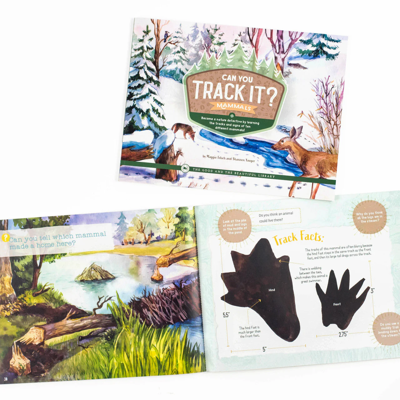 Mammals Read-Aloud Book Pack - Image 3