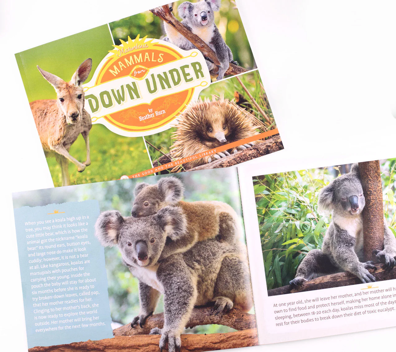 Mammals Read-Aloud Book Pack - Image 4