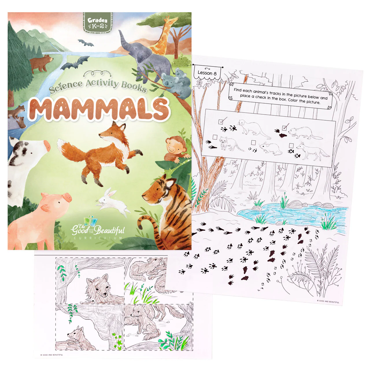 Mammals: Science Activity Book - Image 3