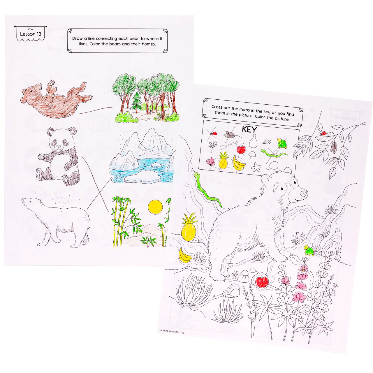 Mammals: Science Activity Book - Image 4