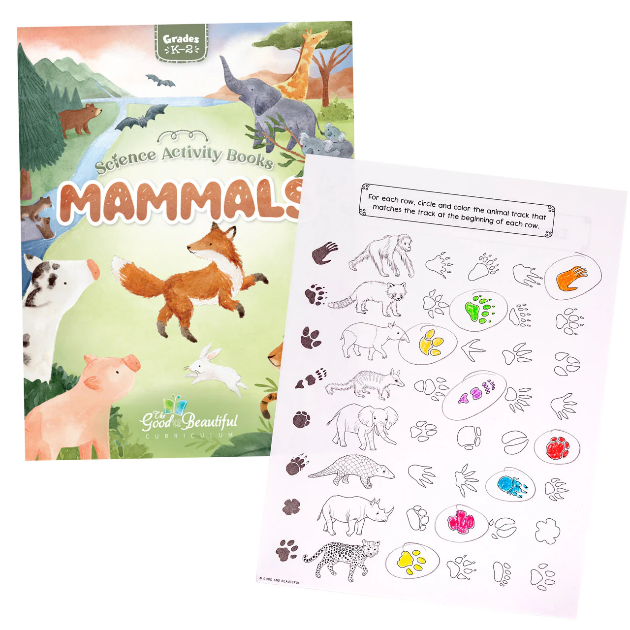 Mammals: Science Activity Book - Image 5