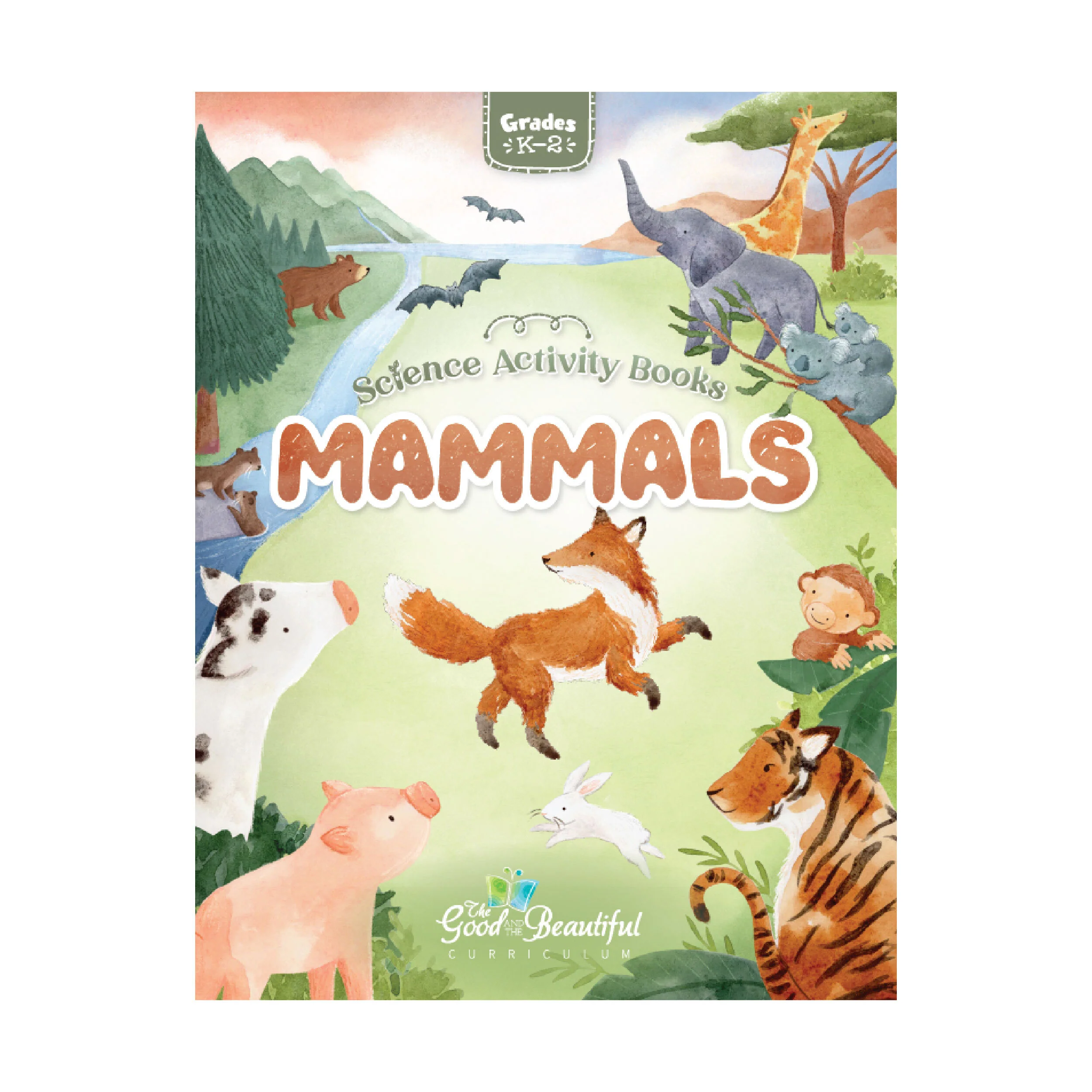 Mammals: Science Activity Book - Image 6