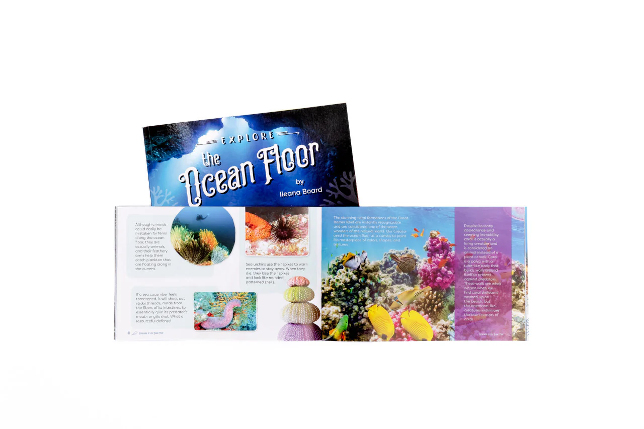 Marine Biology: Course Book: One Per Family - Image 13