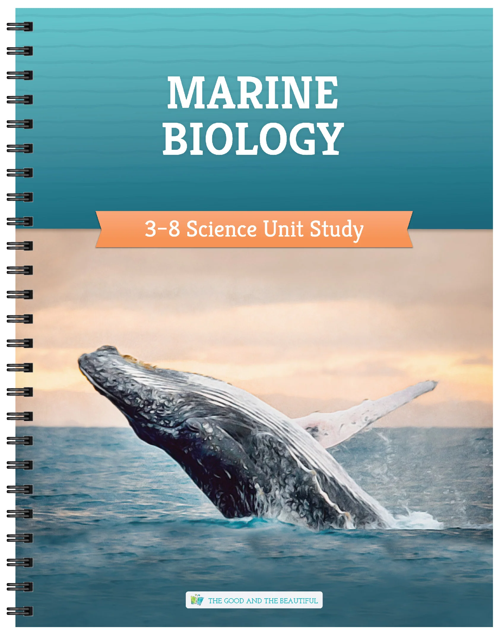 Marine Biology: Course Book: One Per Family - Image 14