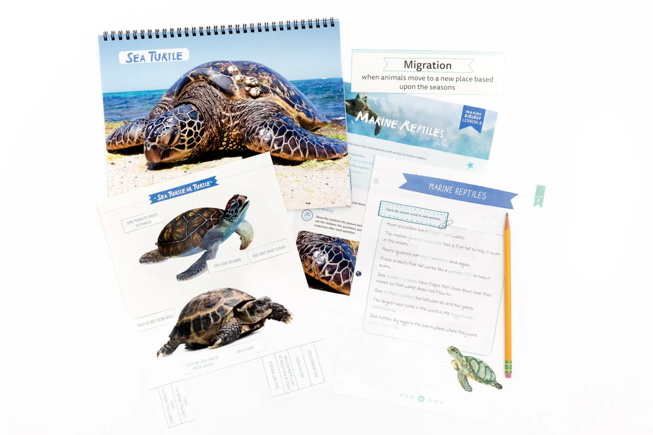 Marine Biology: Course Book: One Per Family - Image 4