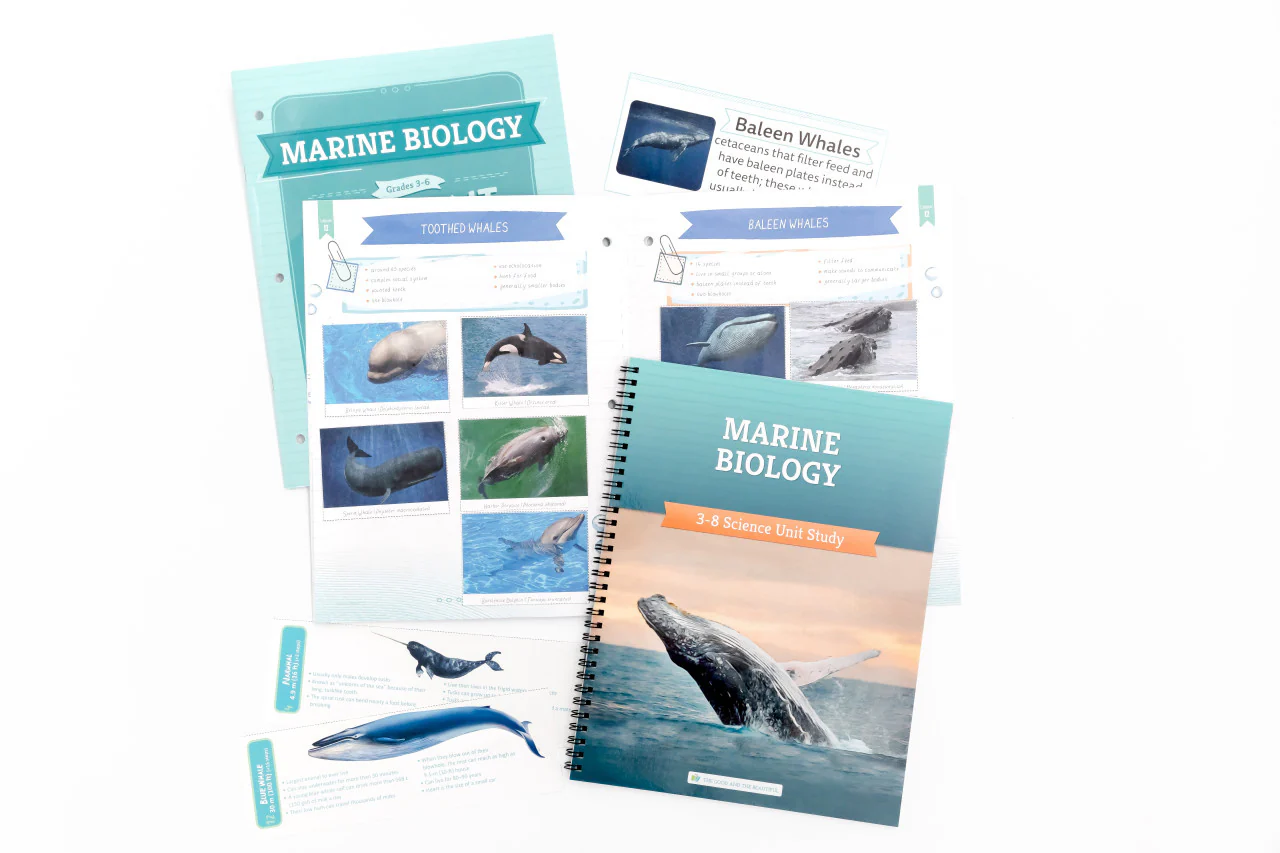 Marine Biology: Course Book: One Per Family - Image 6