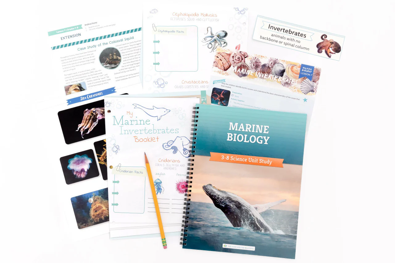 Marine Biology: Course Book: One Per Family - Image 8