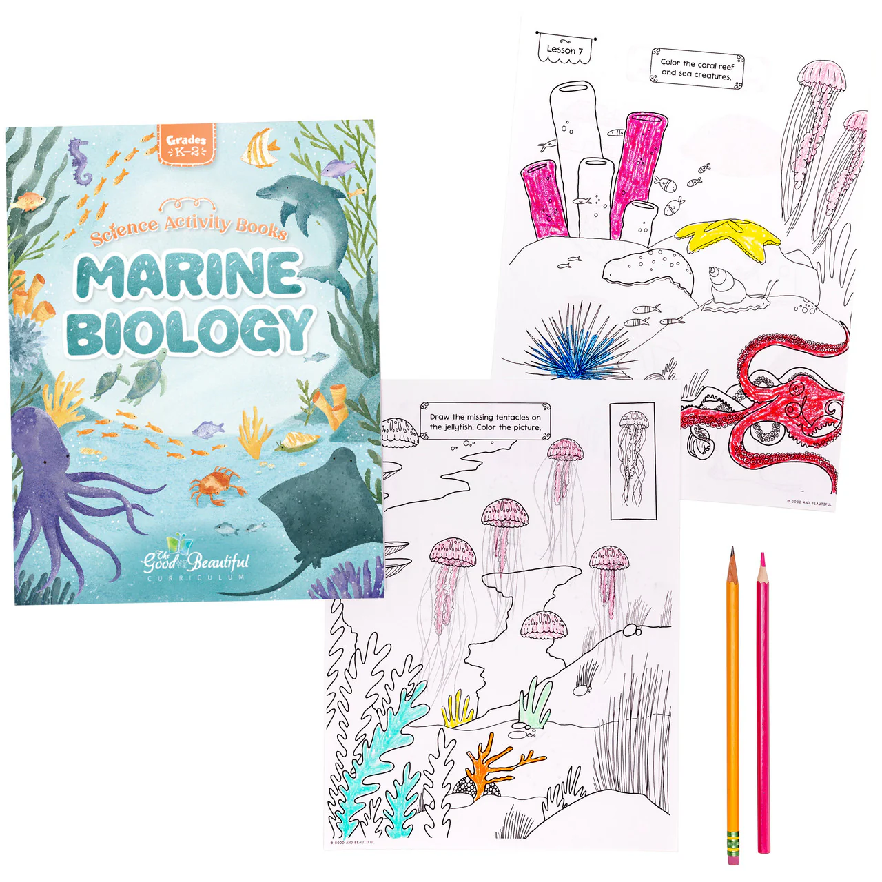Marine Biology: Science Activity Book - Image 3