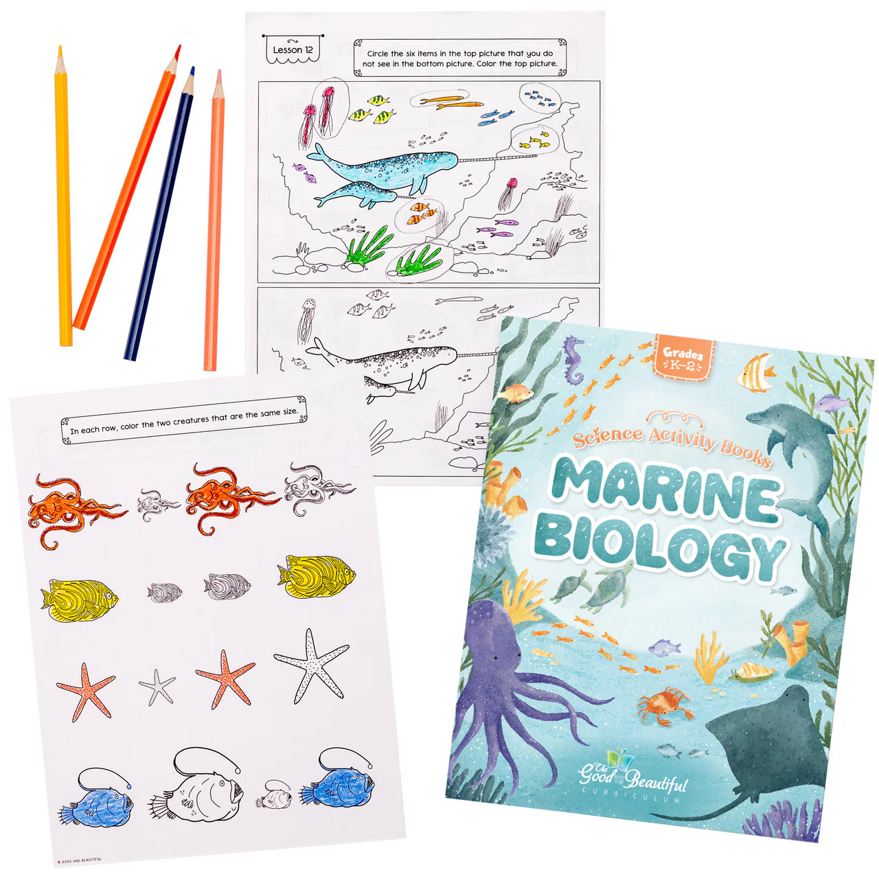 Marine Biology: Science Activity Book - Image 4