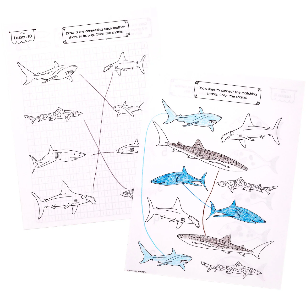 Marine Biology: Science Activity Book - Image 5